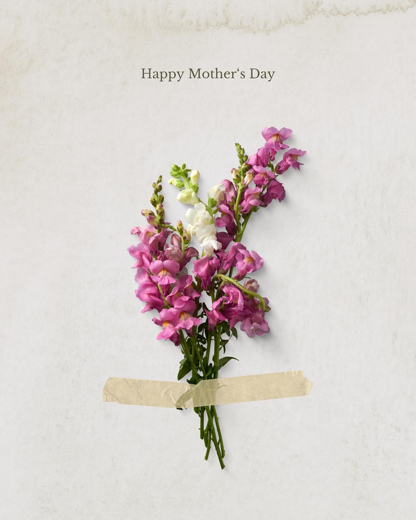 Happy Mother&rsquo;s Day. 

Love, Fromage Studio