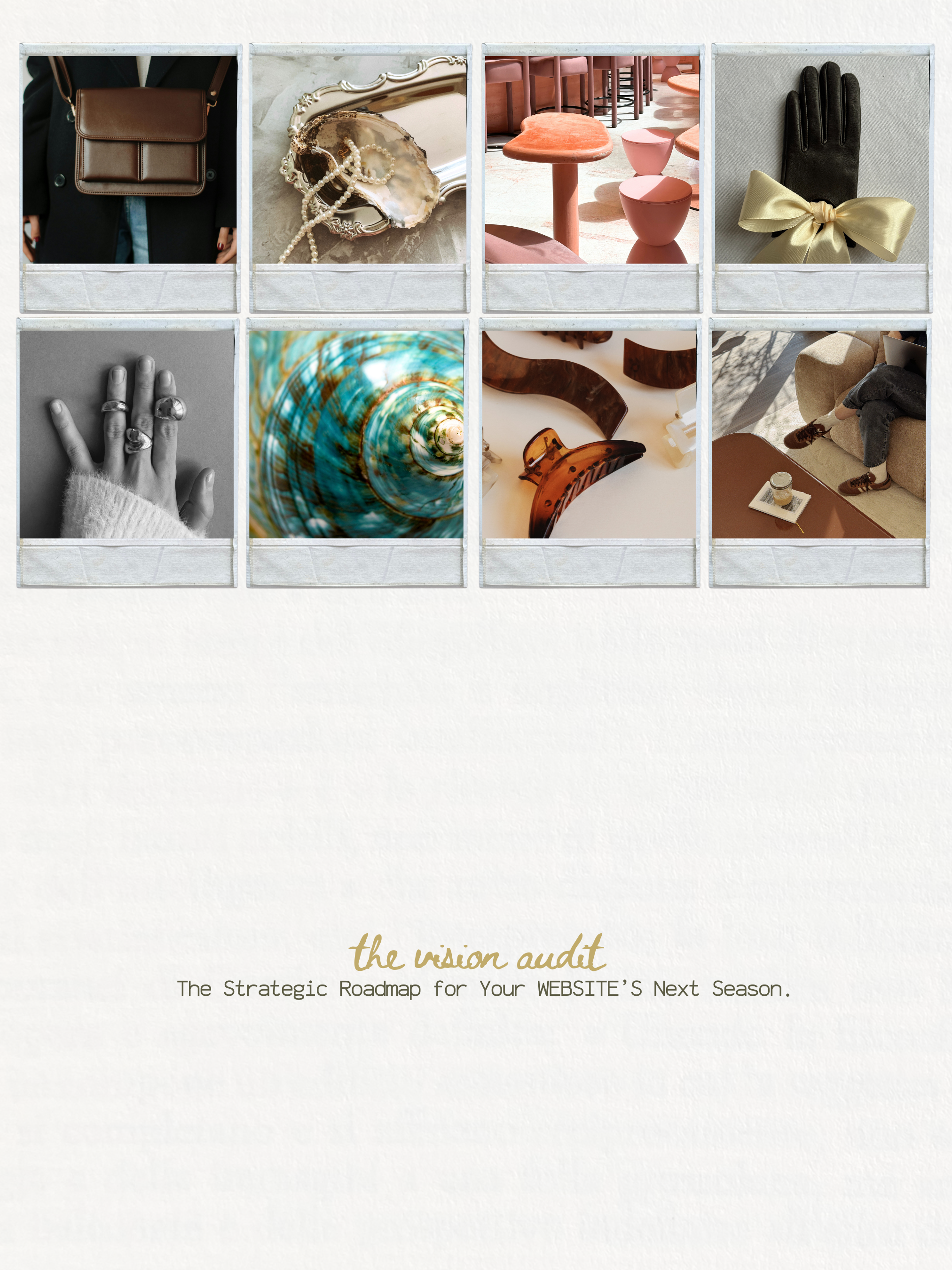 THE VISION AUDIT.png