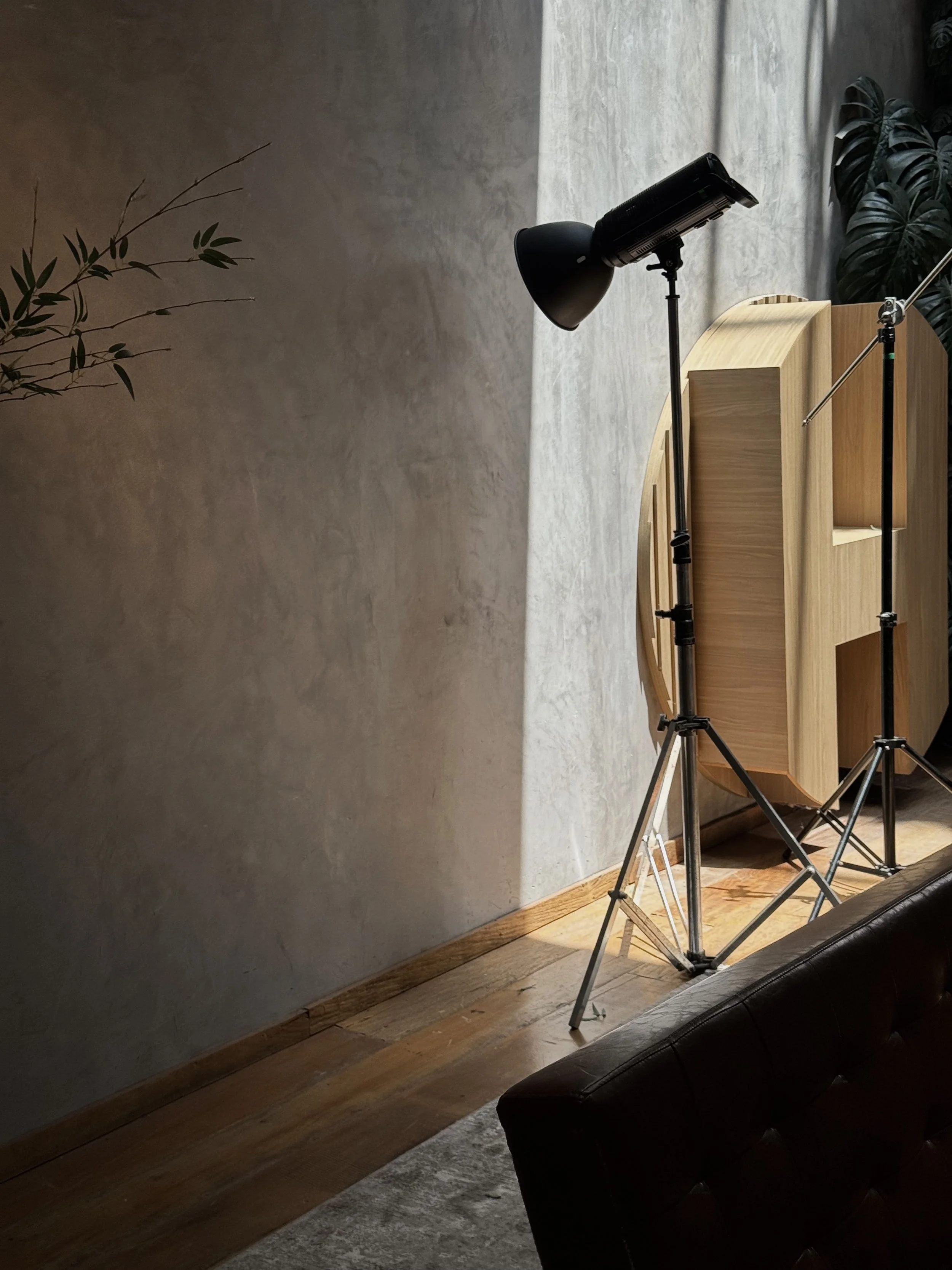 Interior space with a wooden curved shelving unit, a fish tank, a black studio spotlight on a tripod stand, and a large plant with dark green leaves. The scene is softly lit, with a concrete wall and wooden floor.