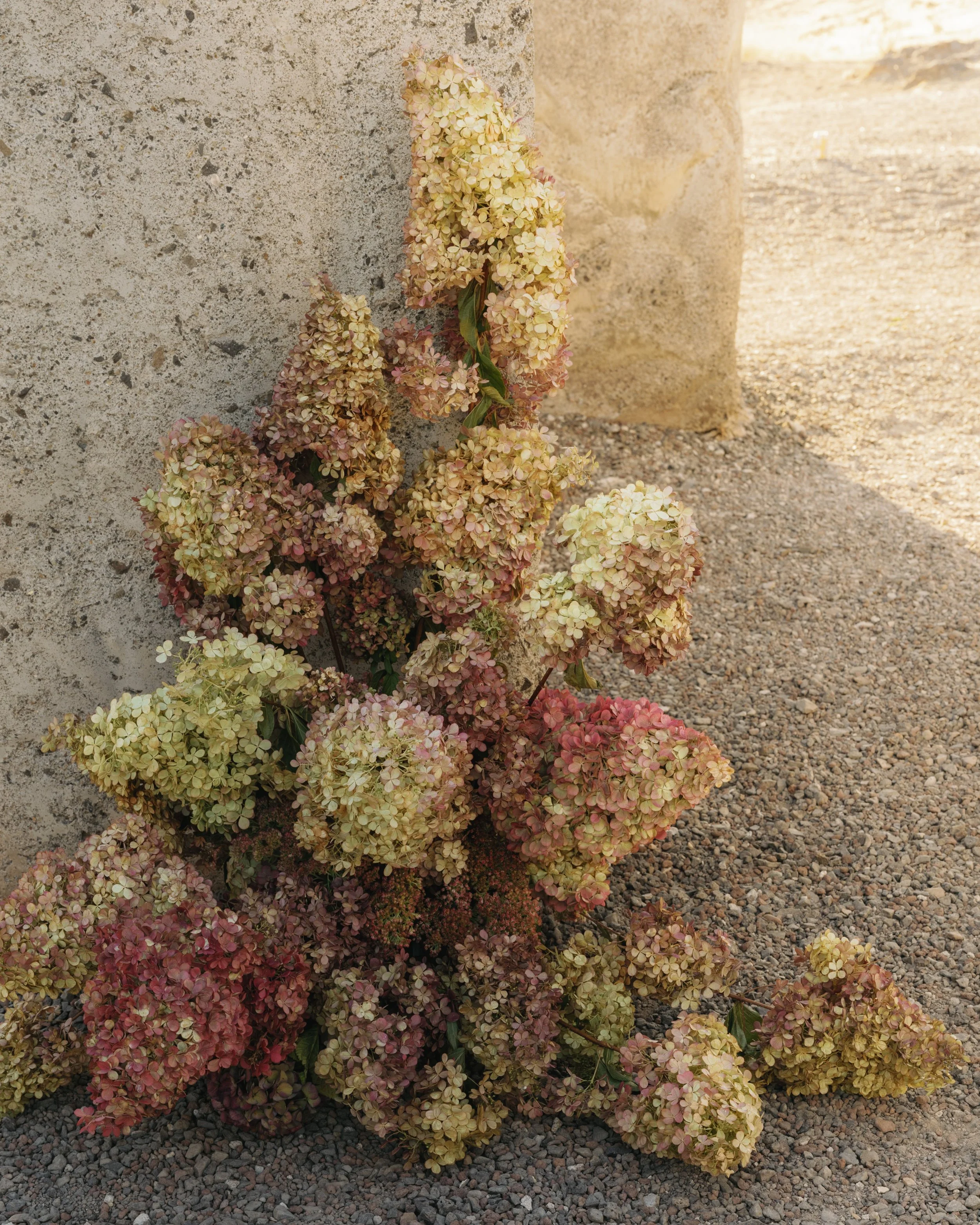 Stonehenge with @nabazabih