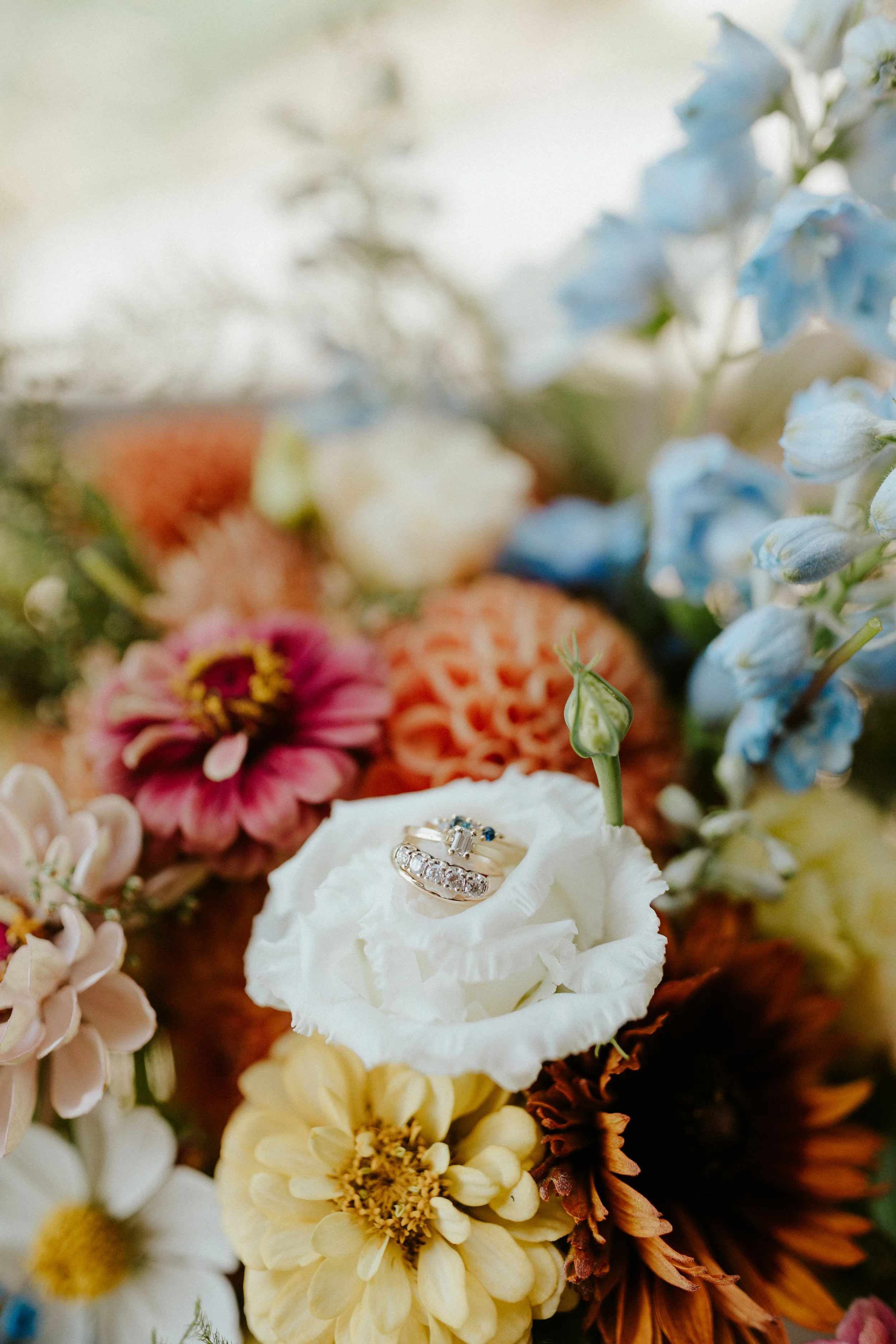 Syd + Carly by @aliraephoto