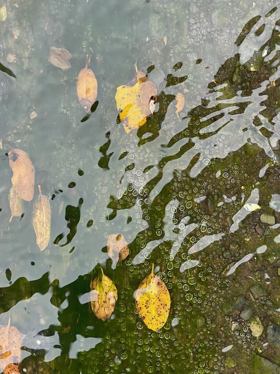 why do you bother to write poems? by brian doyle