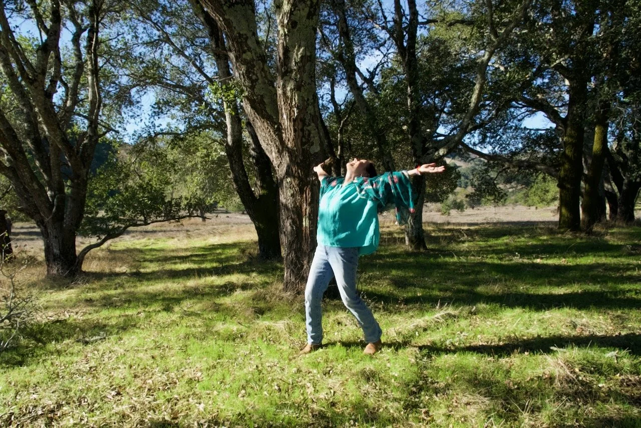 the wild will call you back by gina puorro