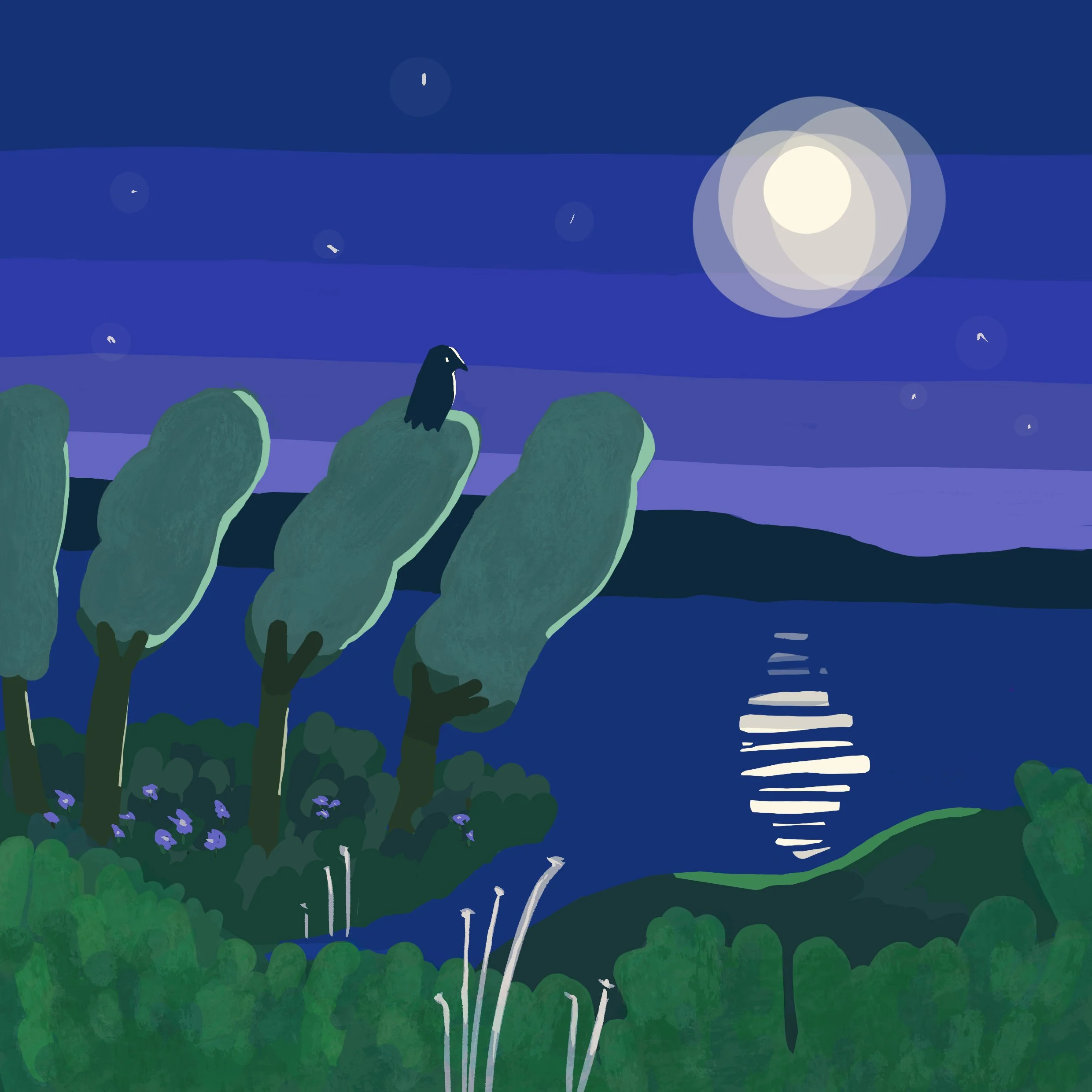 night crow.jpg