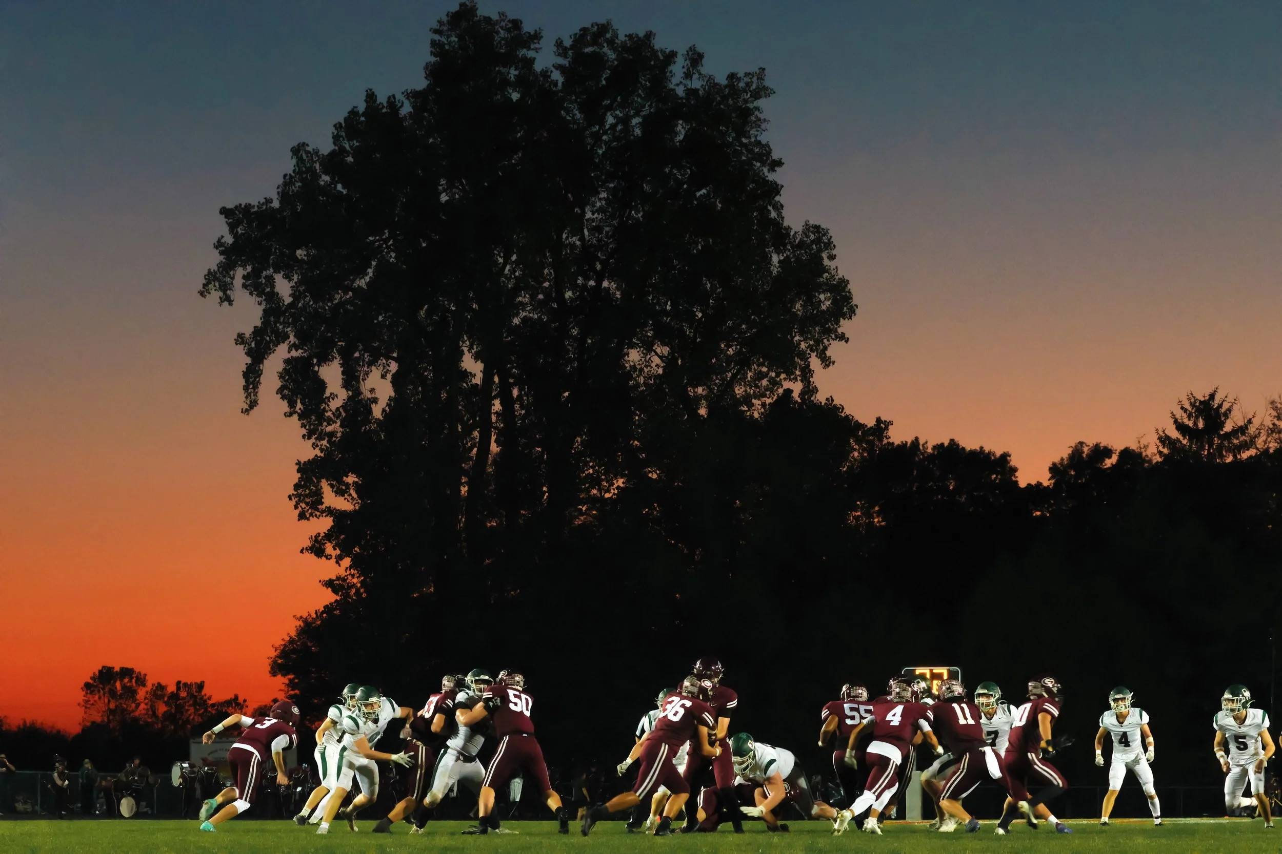 Daniel Carlson / Toledo Blade