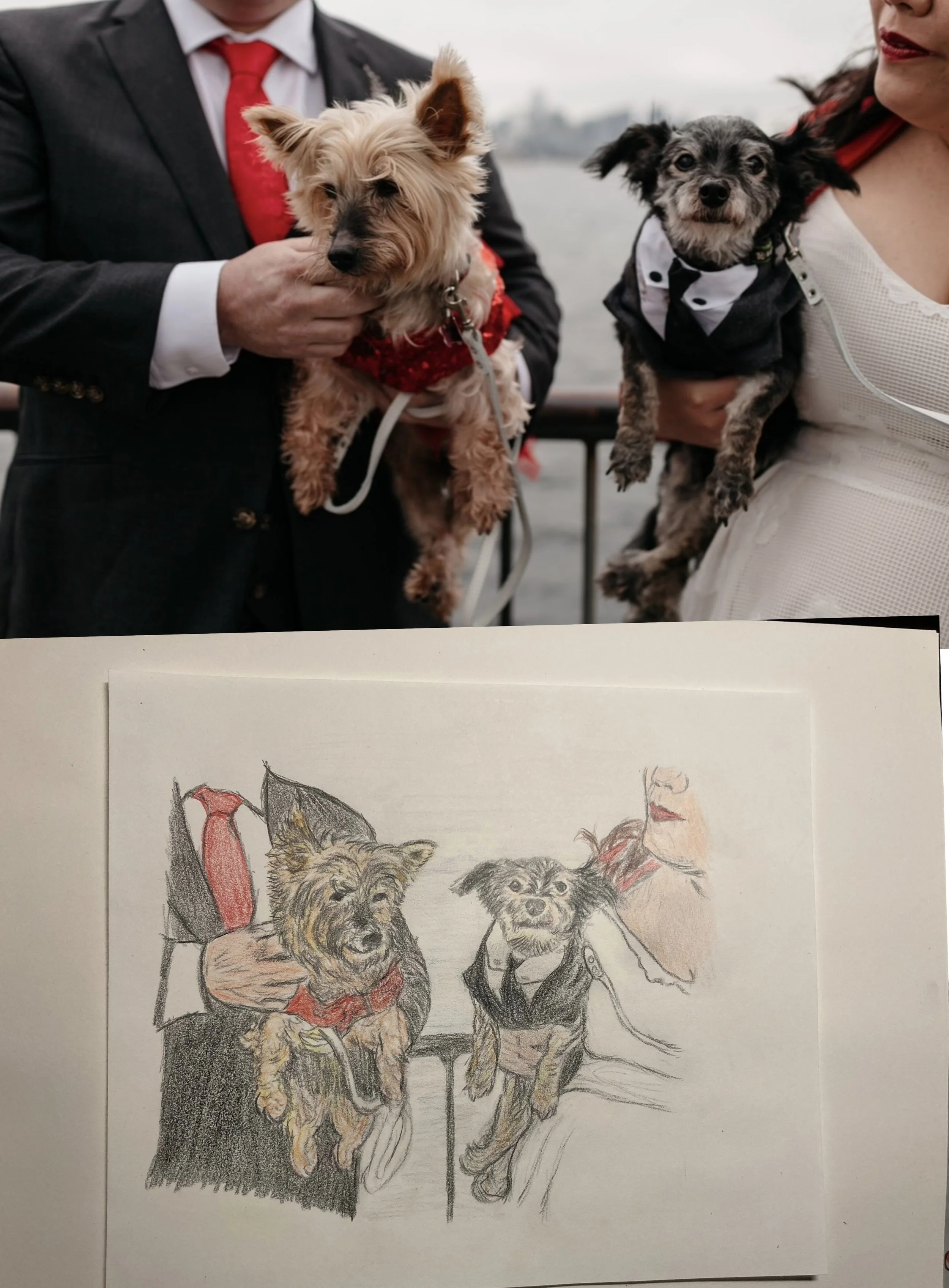 Untitled (Card (Landscape)) - 3.jpg