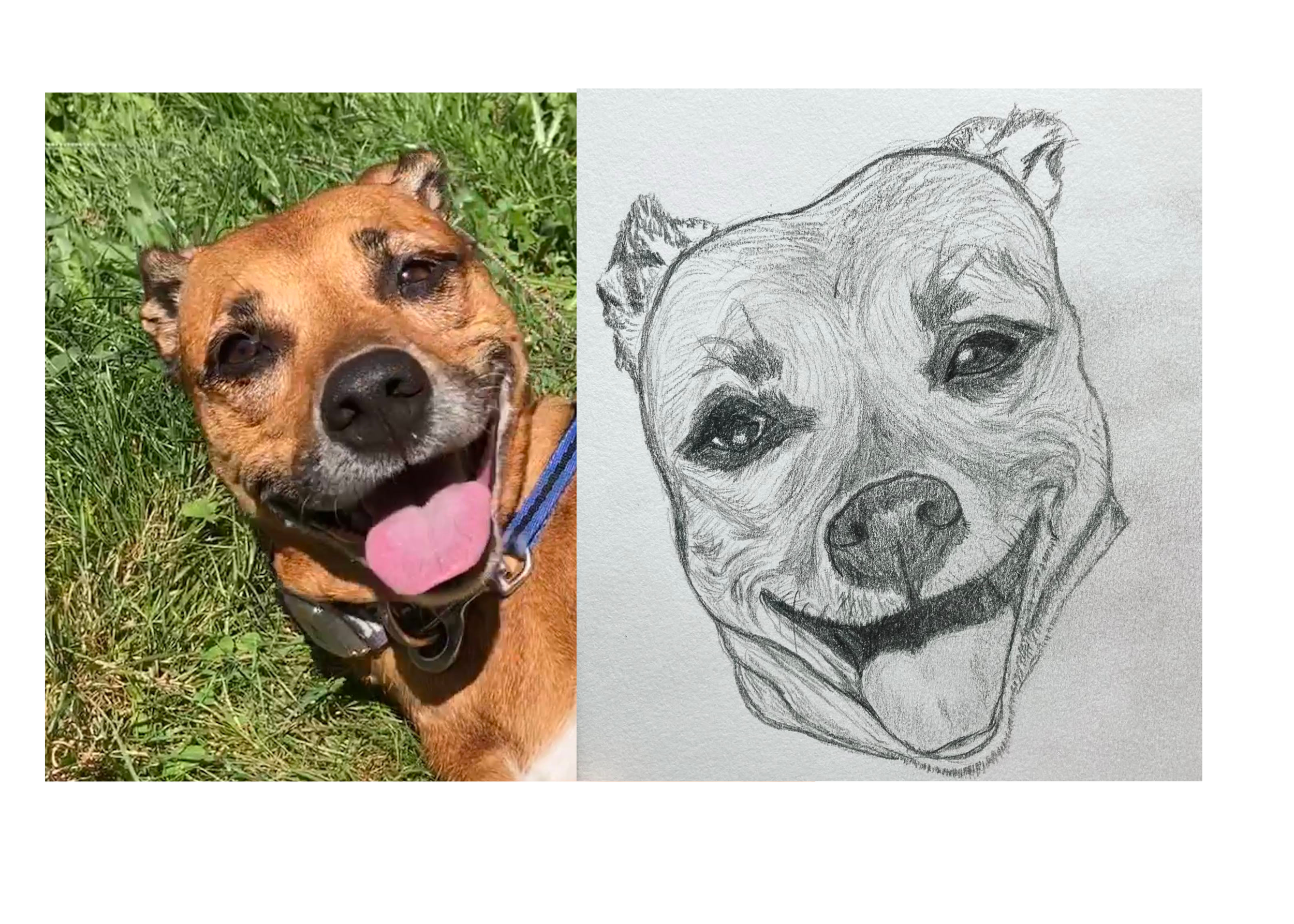 Untitled (Card (Landscape)) - 4.PNG