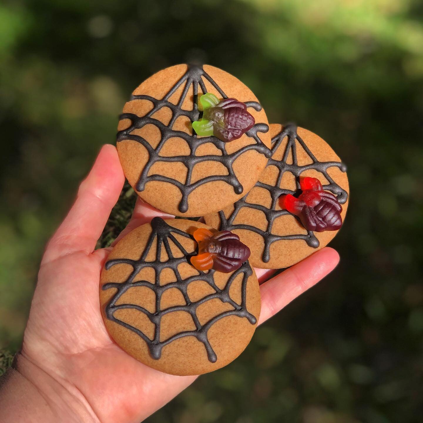 Incy Wincy.

Don&rsquo;t mess with a classic. 

Halloween cookies avail instore and to order - between now and next SUNDAY the 29th @cubbyhousecanteen 
🎃🎃🎃🎃🎃🕷️🕷️🕷️🕷️🕷️🕸️🕸️🏡🏡🏡🏡🏡❤️

#incywincy #spider #spiders #classic #cookies #hallow
