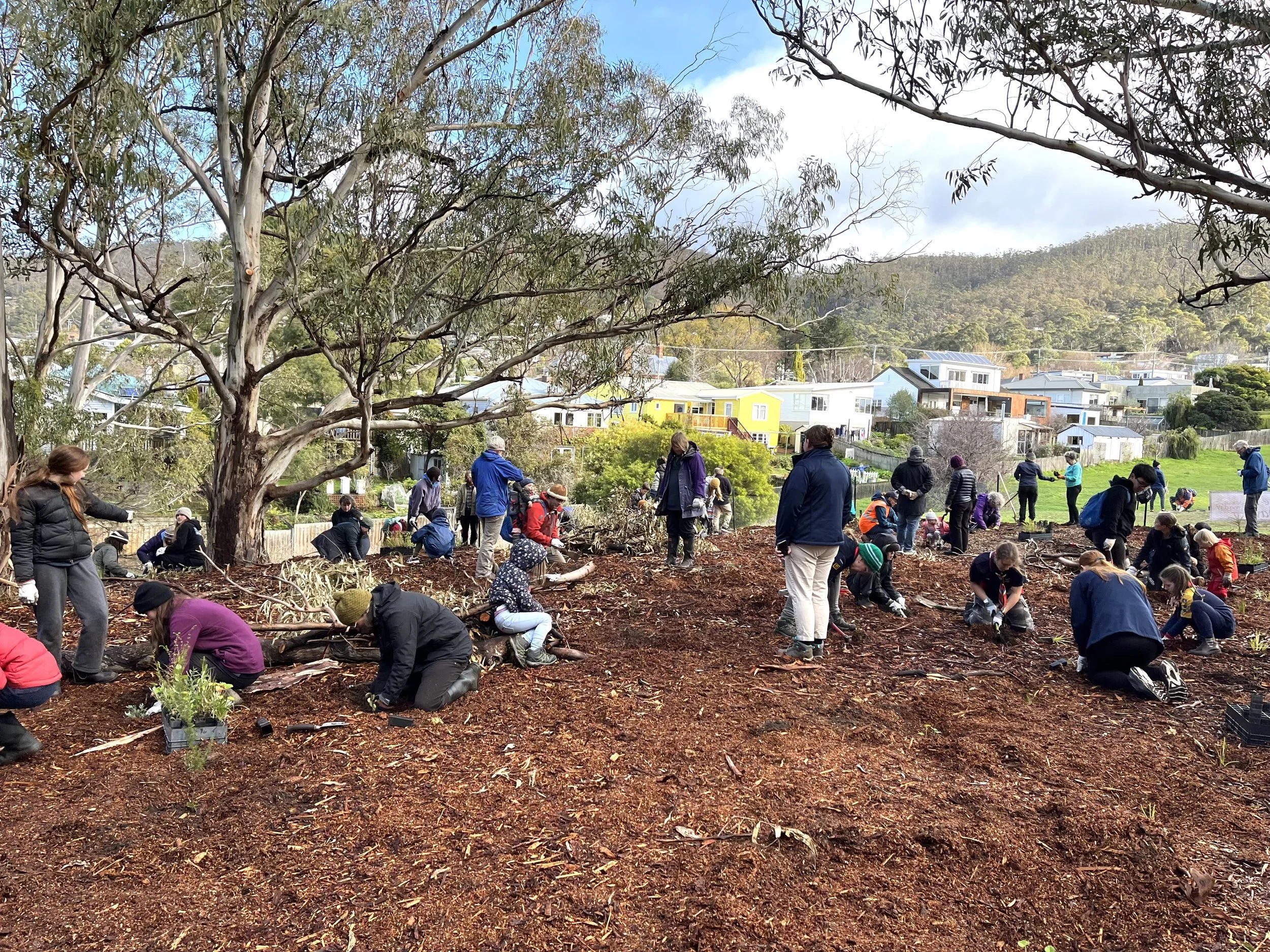 SPECIAL EVENT - WORKING BEE July for National Tree Day