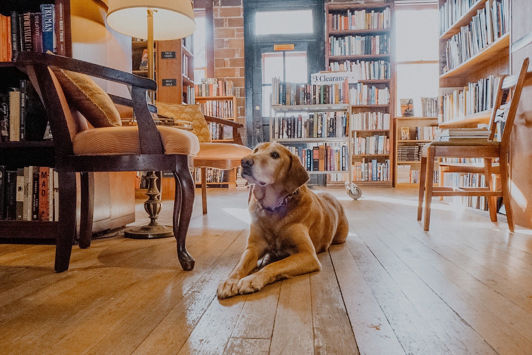 Partner Feature - Fair Trade Books Red Wing