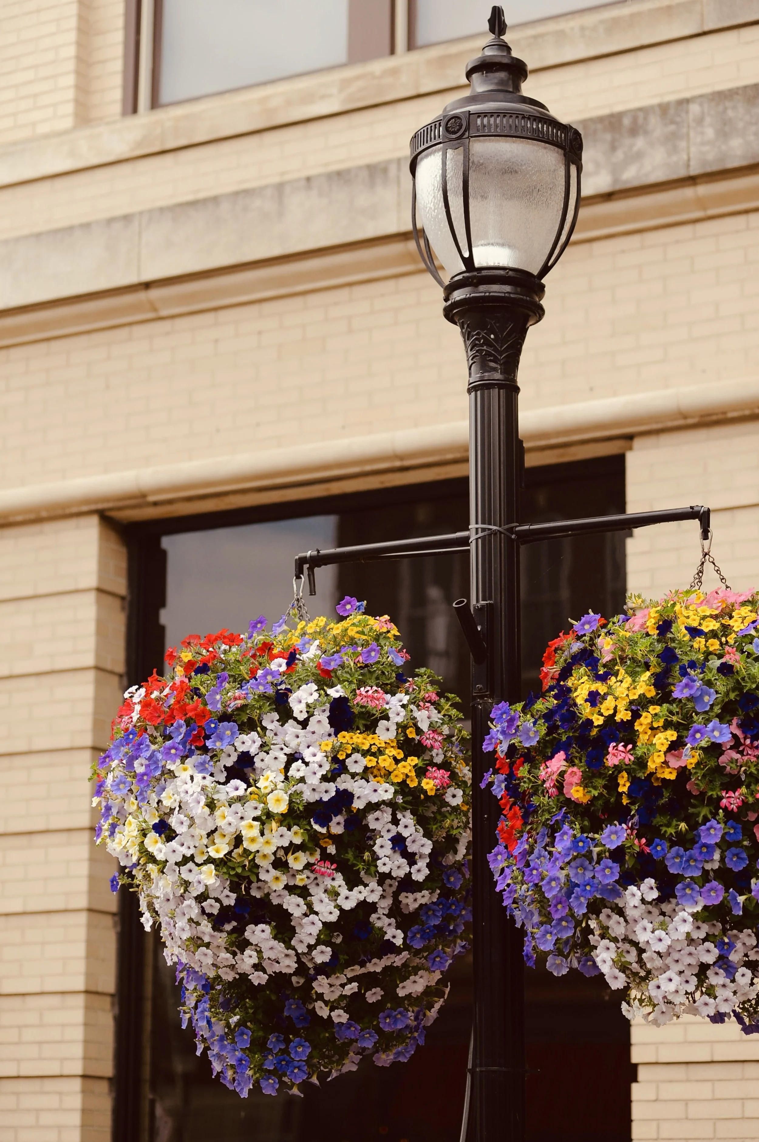 Red Wing Basket Crawl event will help raise funds for flower baskets
