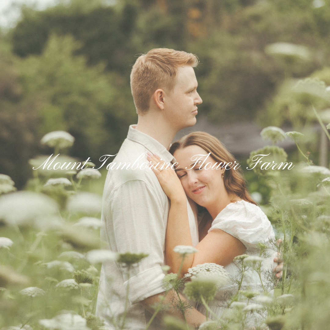 Mount Tamborine flower farm offers a stunning natural backdrop with incredible variety, allowing your gallery to feel rich, relaxed, and beautifully cohesive. With open fields, textured greenery, and seasonal blooms, it’s the perfect setting for newb