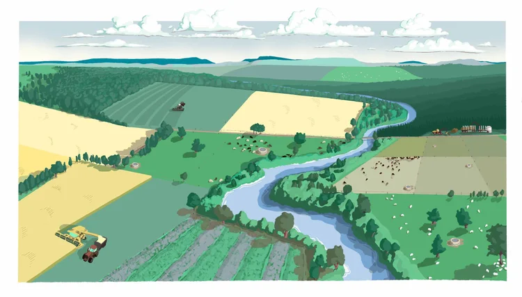 Regenerative agriculture practices illustration