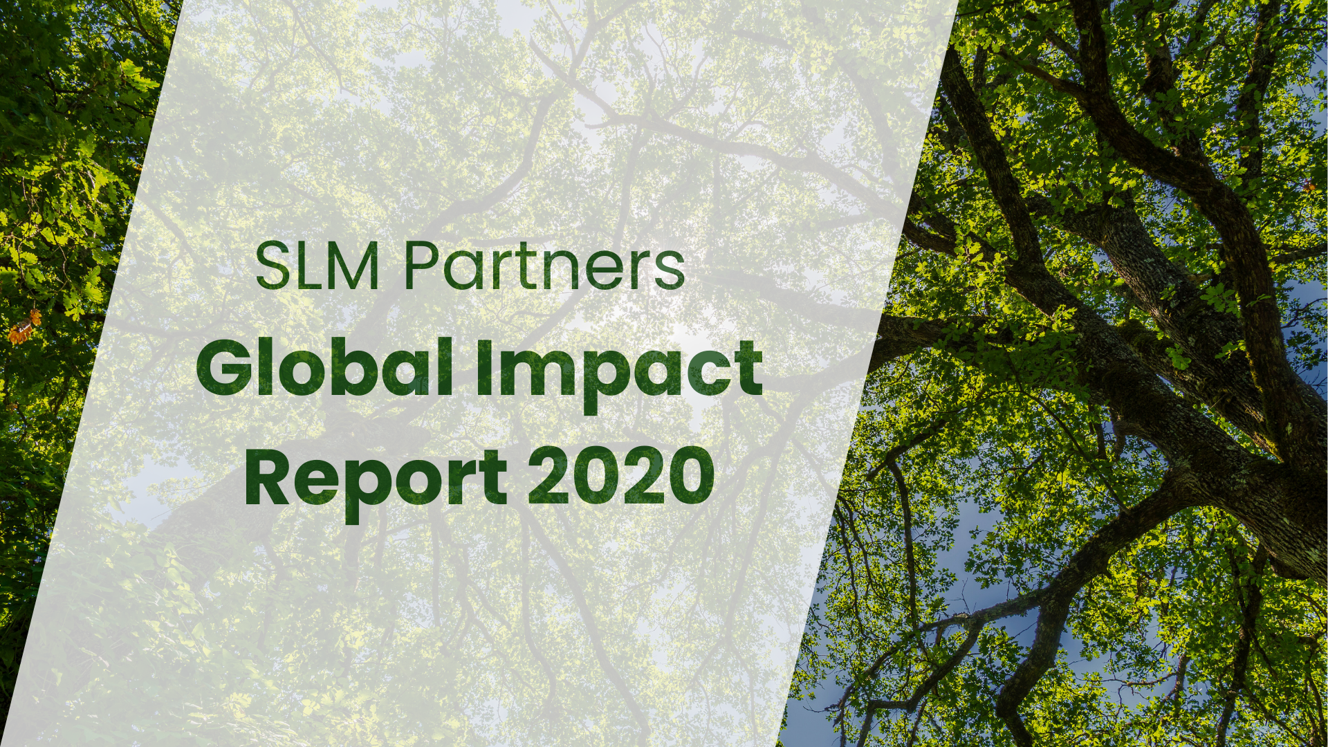 SLM Global Impact Report 2020