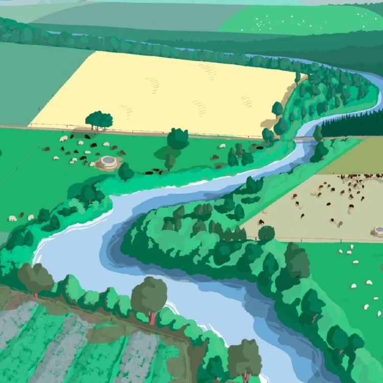 Investing in Regenerative Agriculture: Reflections from the past decade