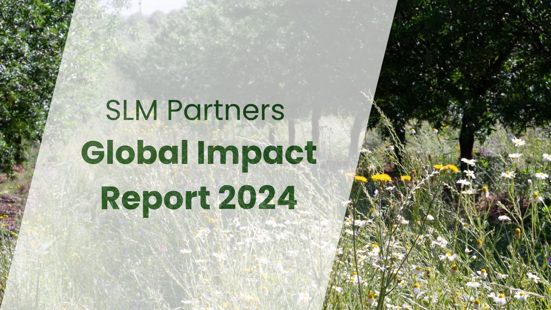 Global Impact Report 2024 