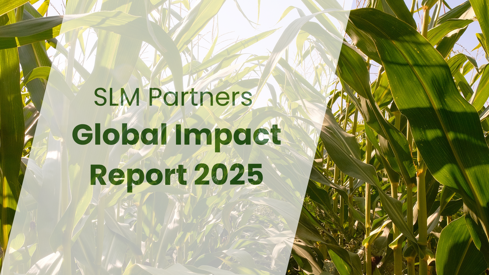 Global Impact Report 2025