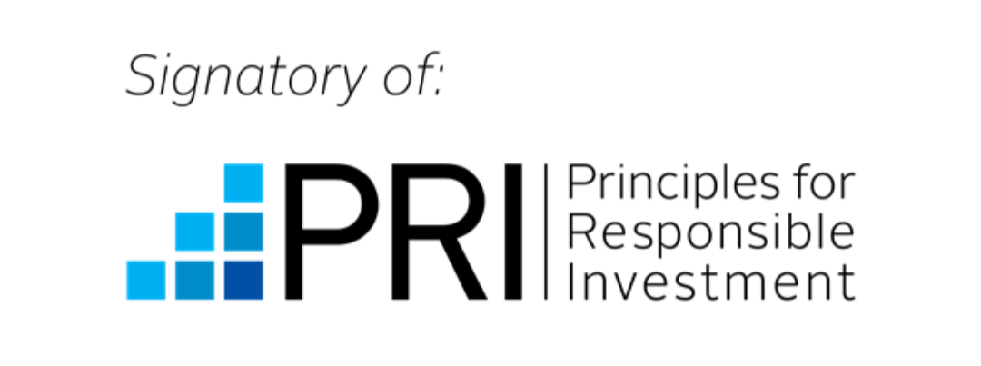 Partner logo 2