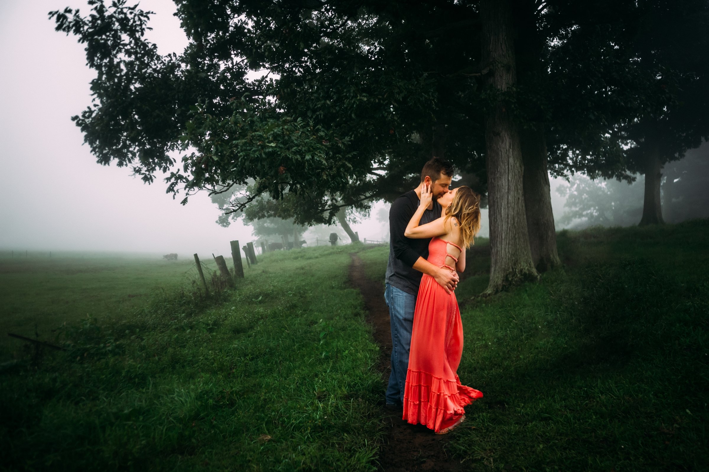 passionate couple embrace in a foggy Wisconsin pasture during their engagement session