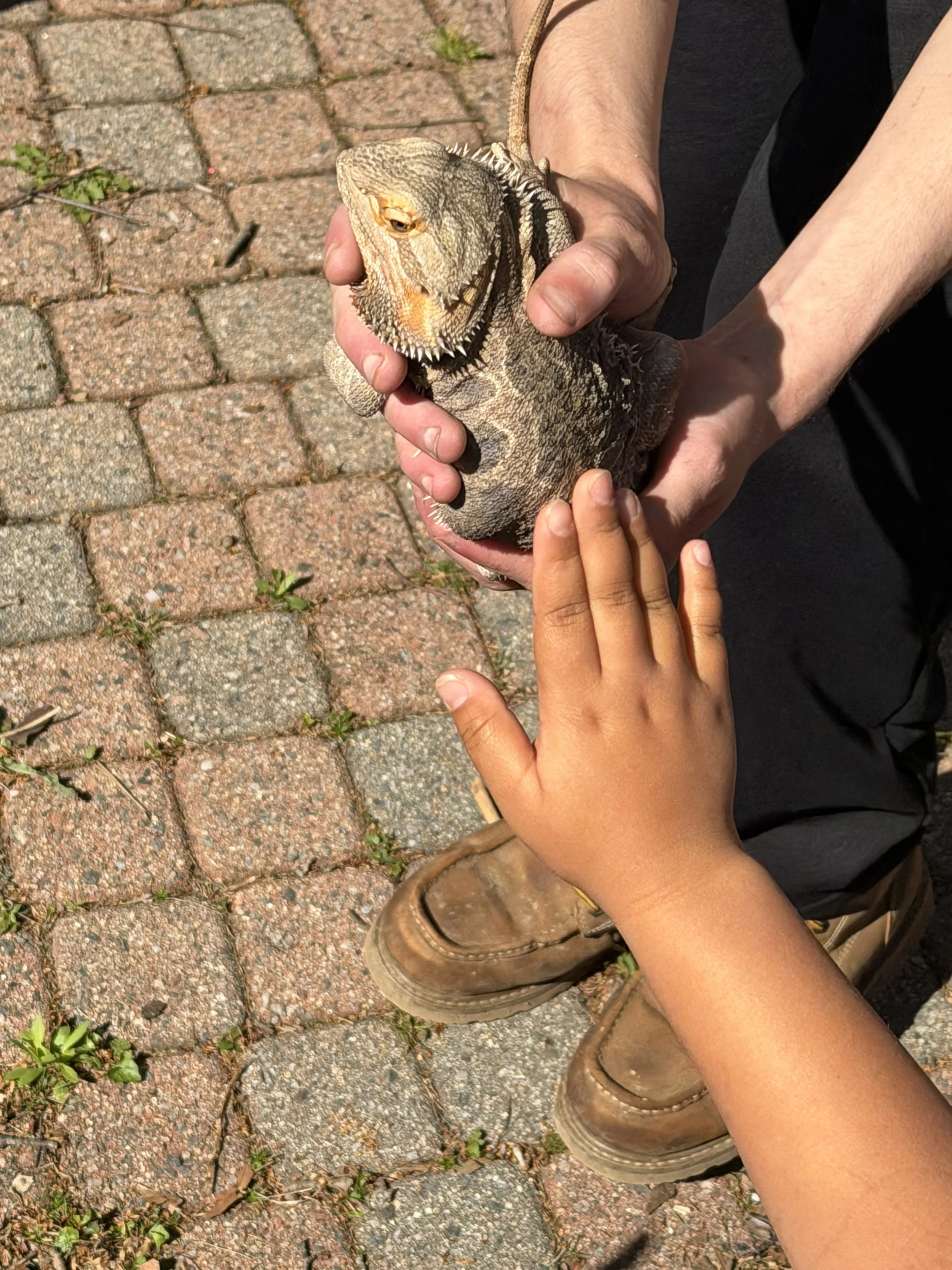 Animal Adventures Visits Second Grade