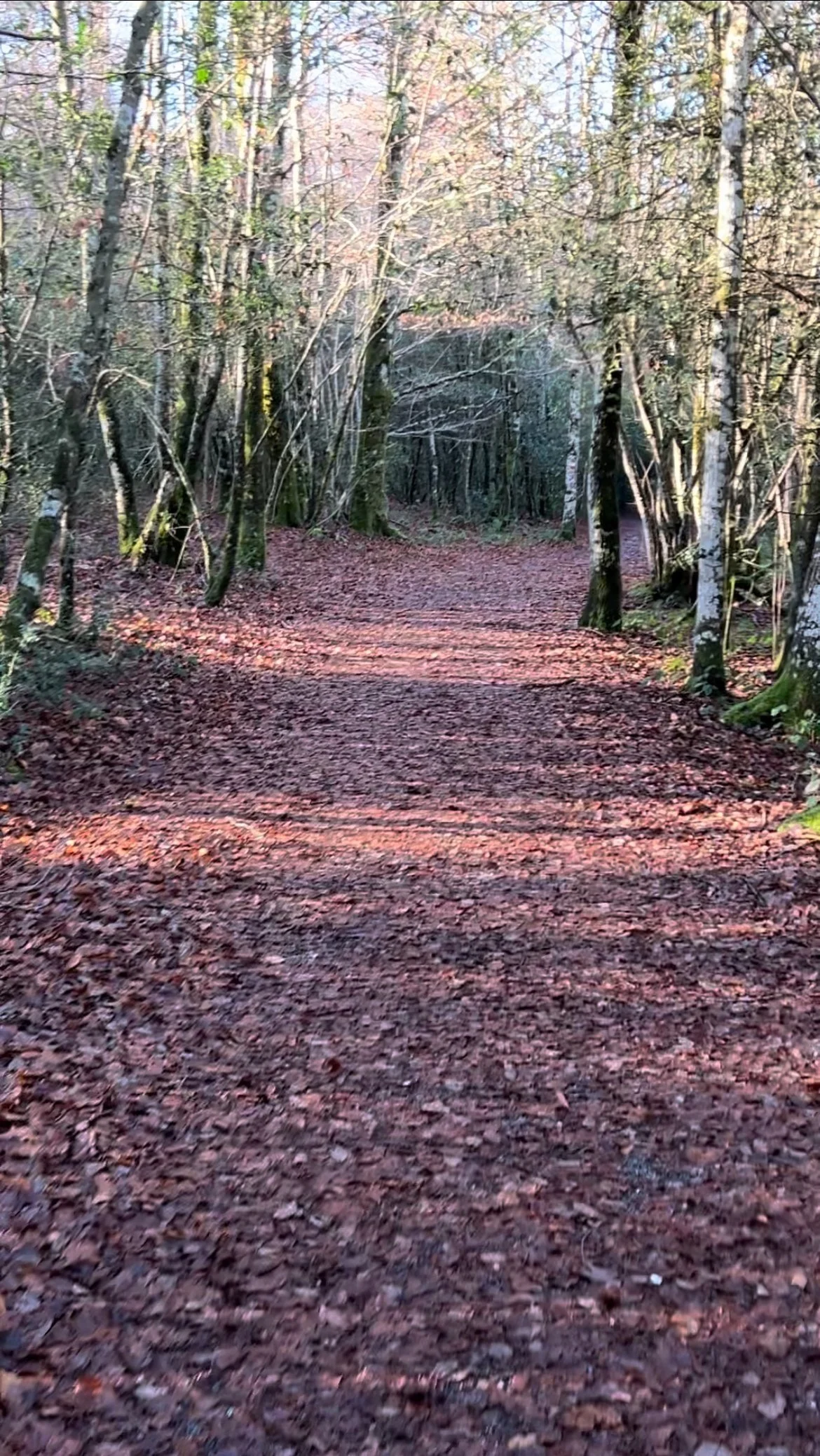 ¿Tengo estrés o ansiedad?