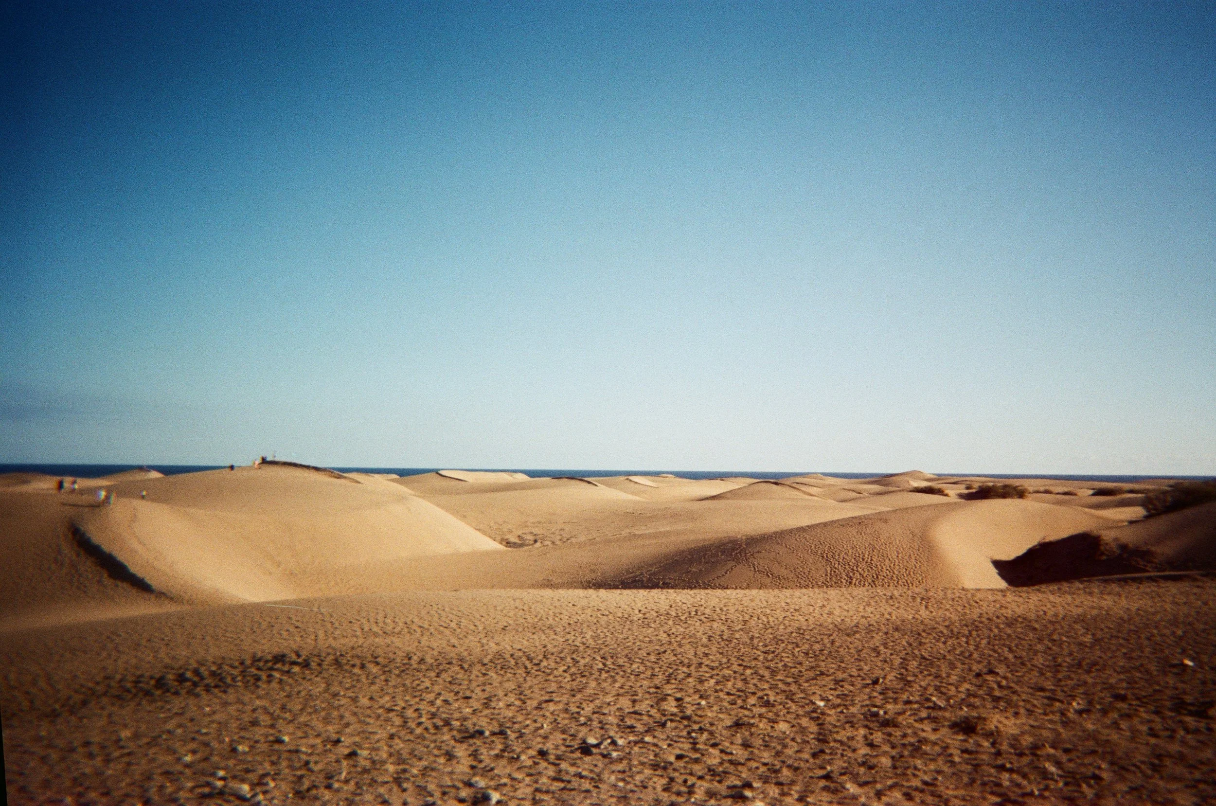No puedo dejar de pensar…