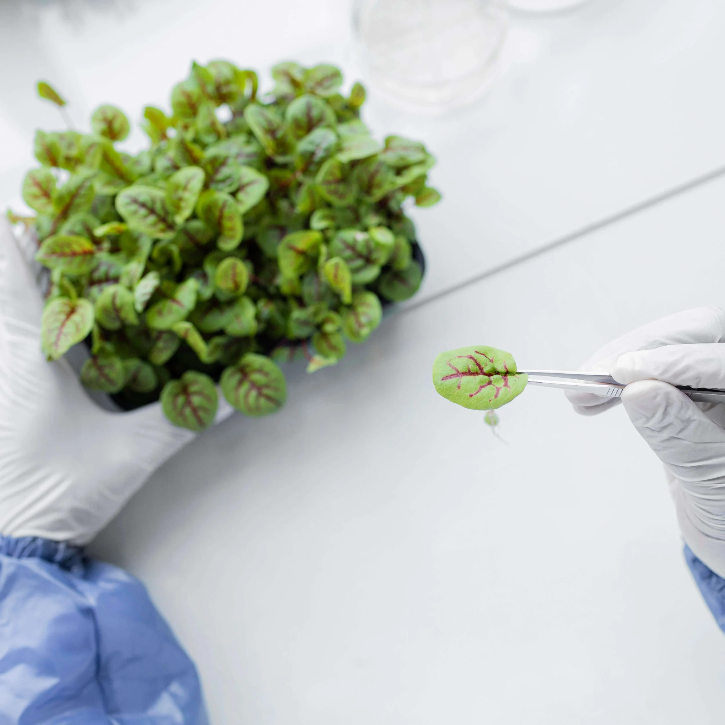 COS'È LA BIOETICA?