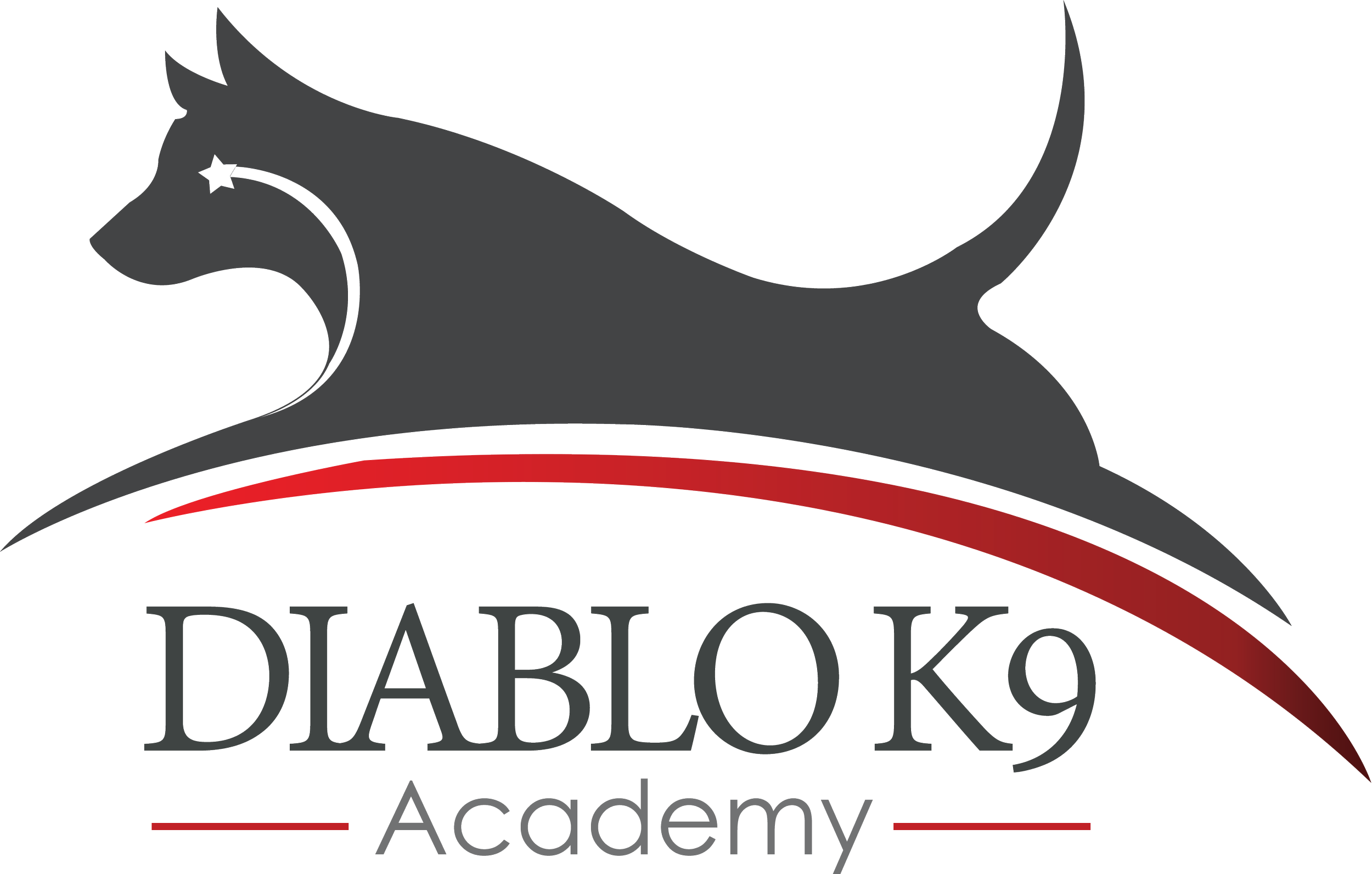 Top k9 academy Top Sellers