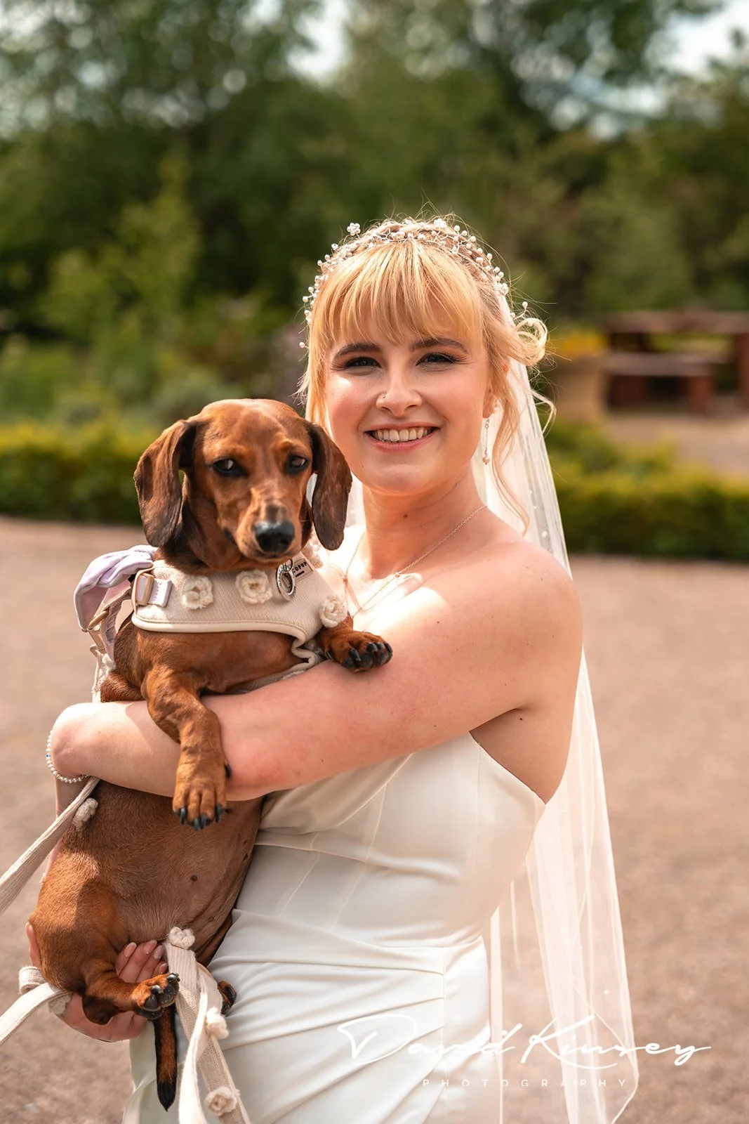 Exclusive Dog Friendly Wedding Venue Derbyshire