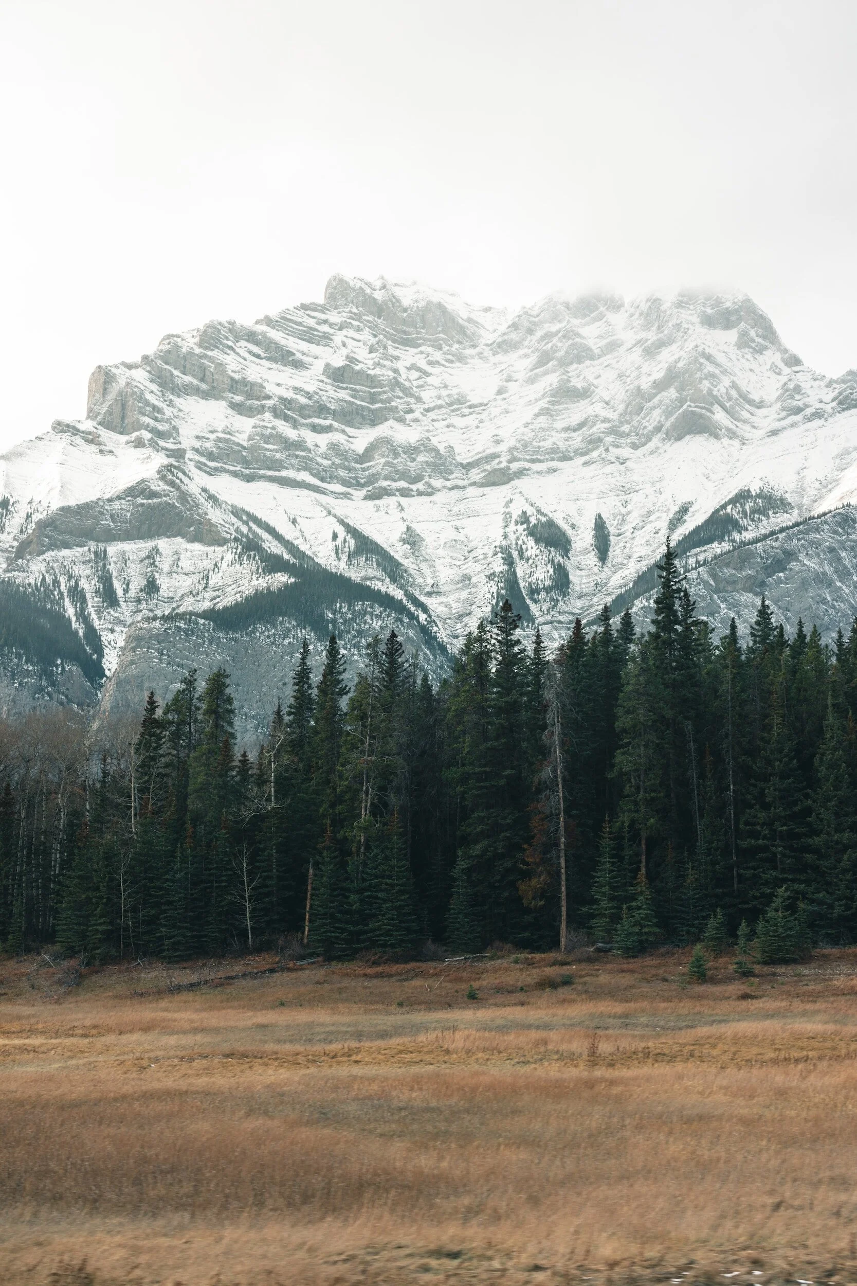 Lunch and Learn: The Corporate Social Mind