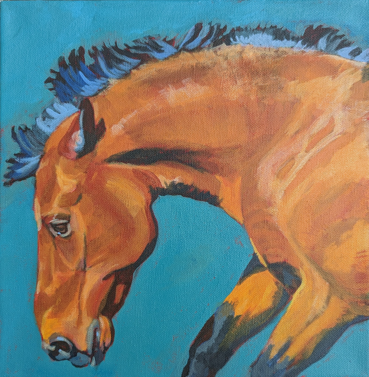 Horses