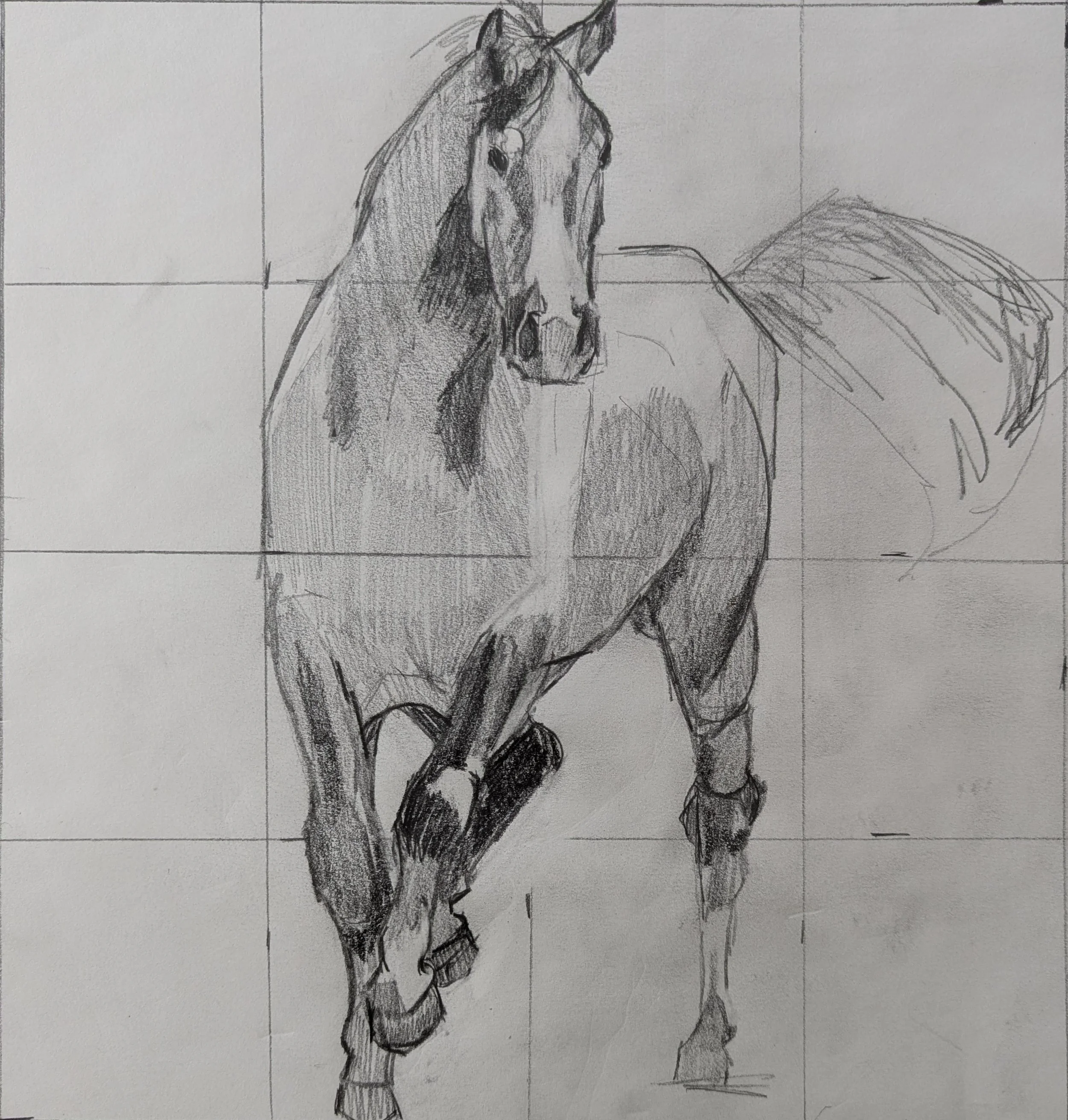 A detailed pencil sketch of a horse with a focus on the head, neck, and front legs, with a partial view of the tail on the right side.