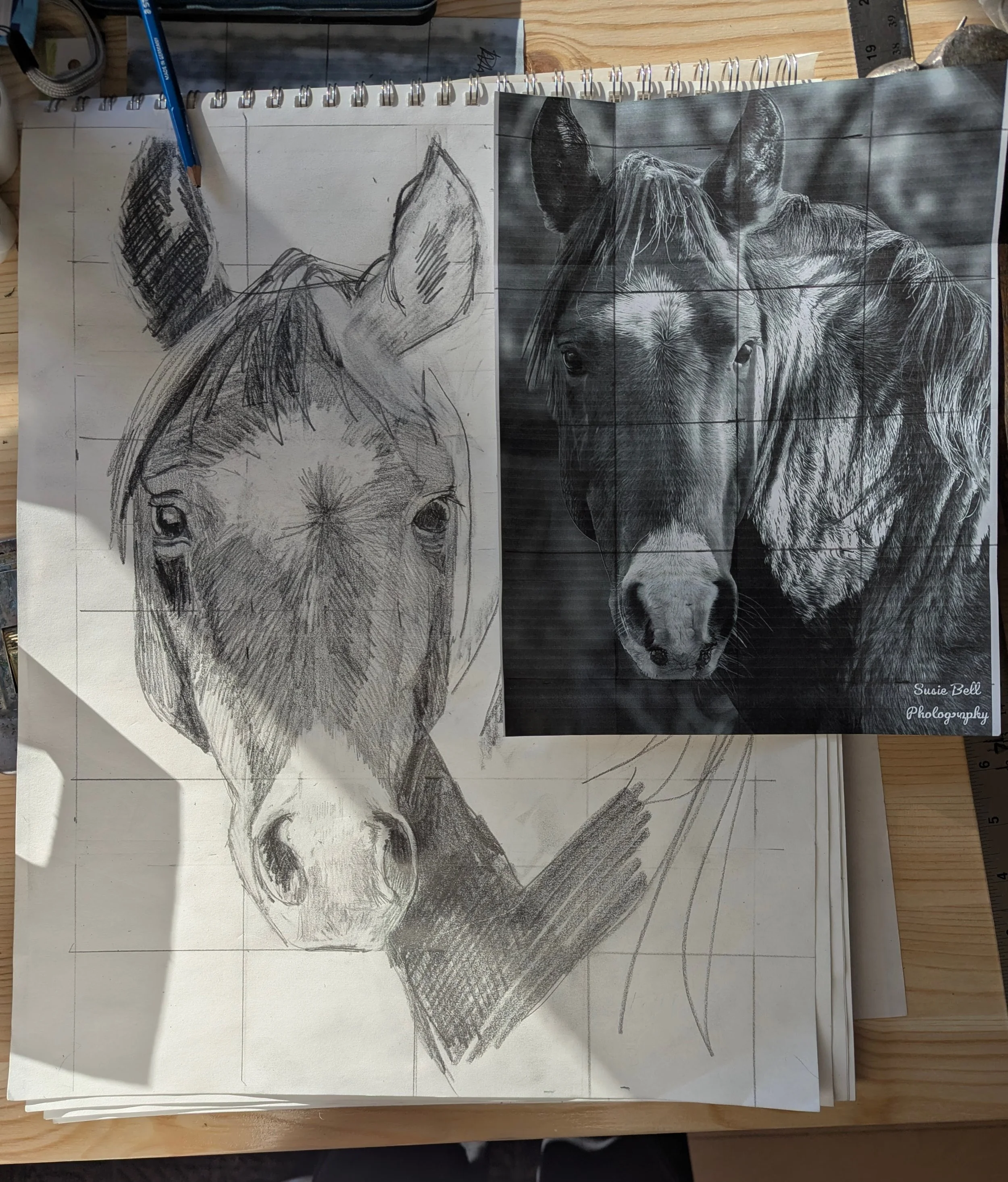 A drawing of a horse's head in progress on paper, with a printed reference photo of a horse's face placed nearby for guidance.