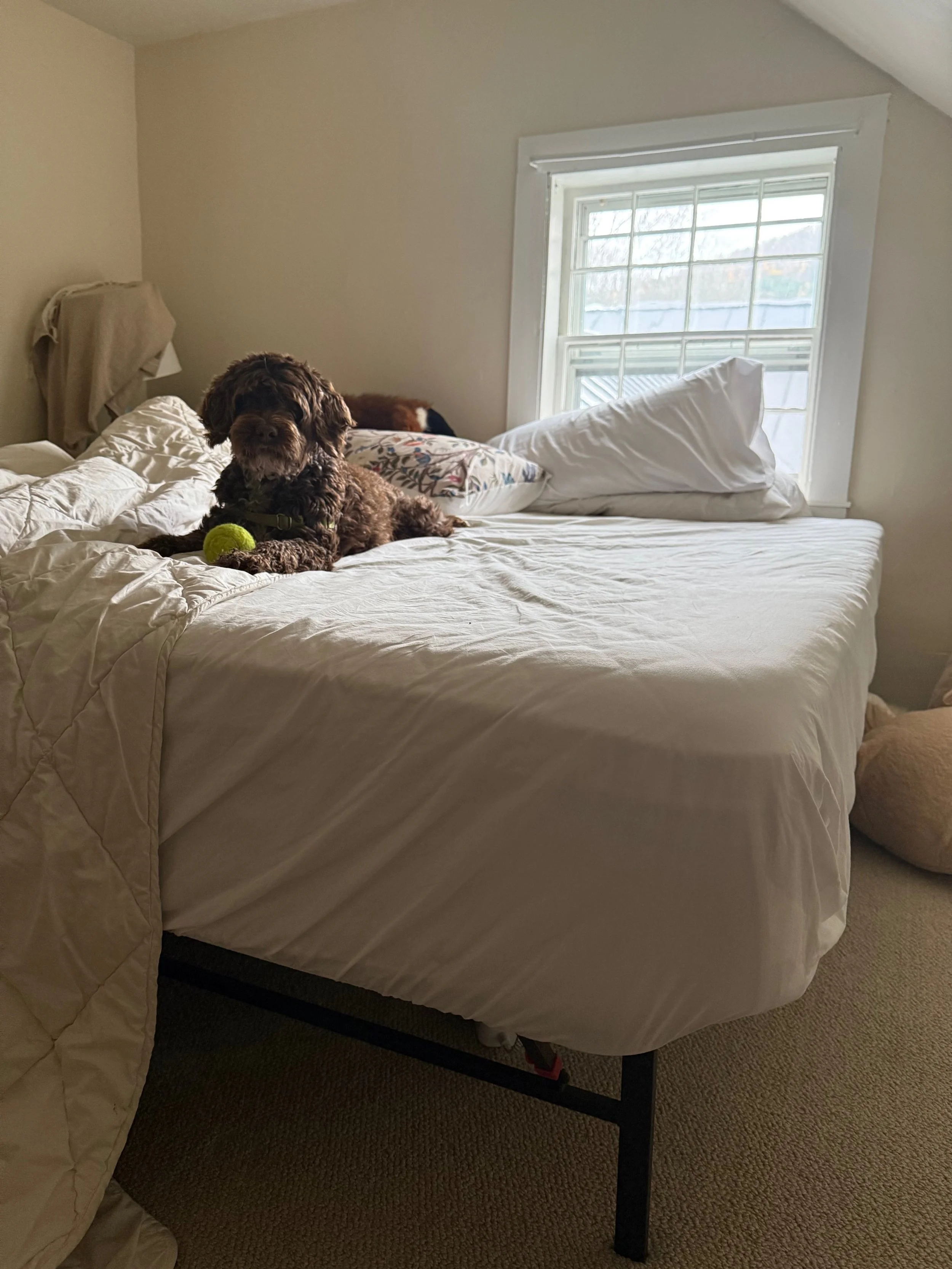 King mattress and metal folding frame x 2