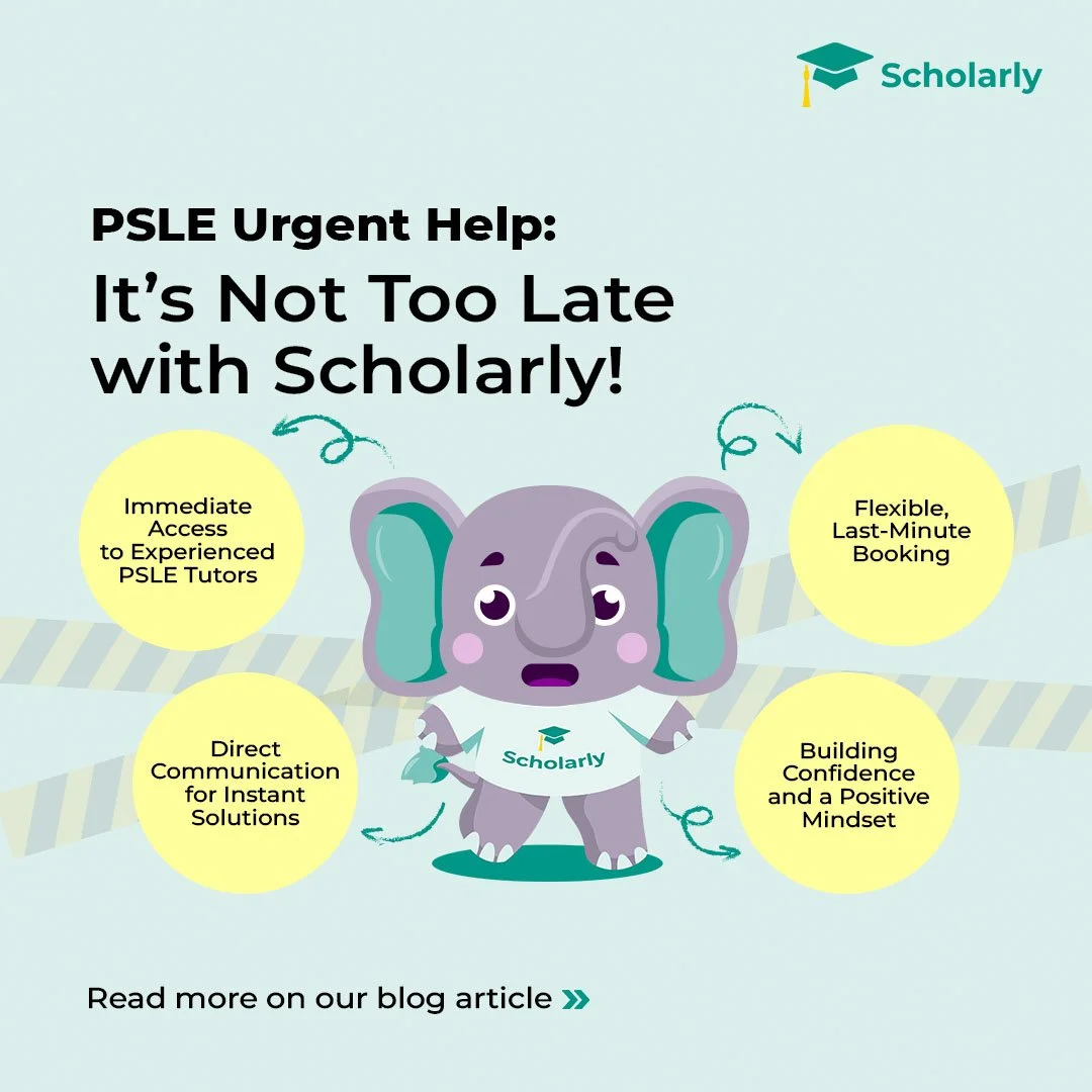 PSLE Urgent Help: It’s Not Too Late with Scholarly!