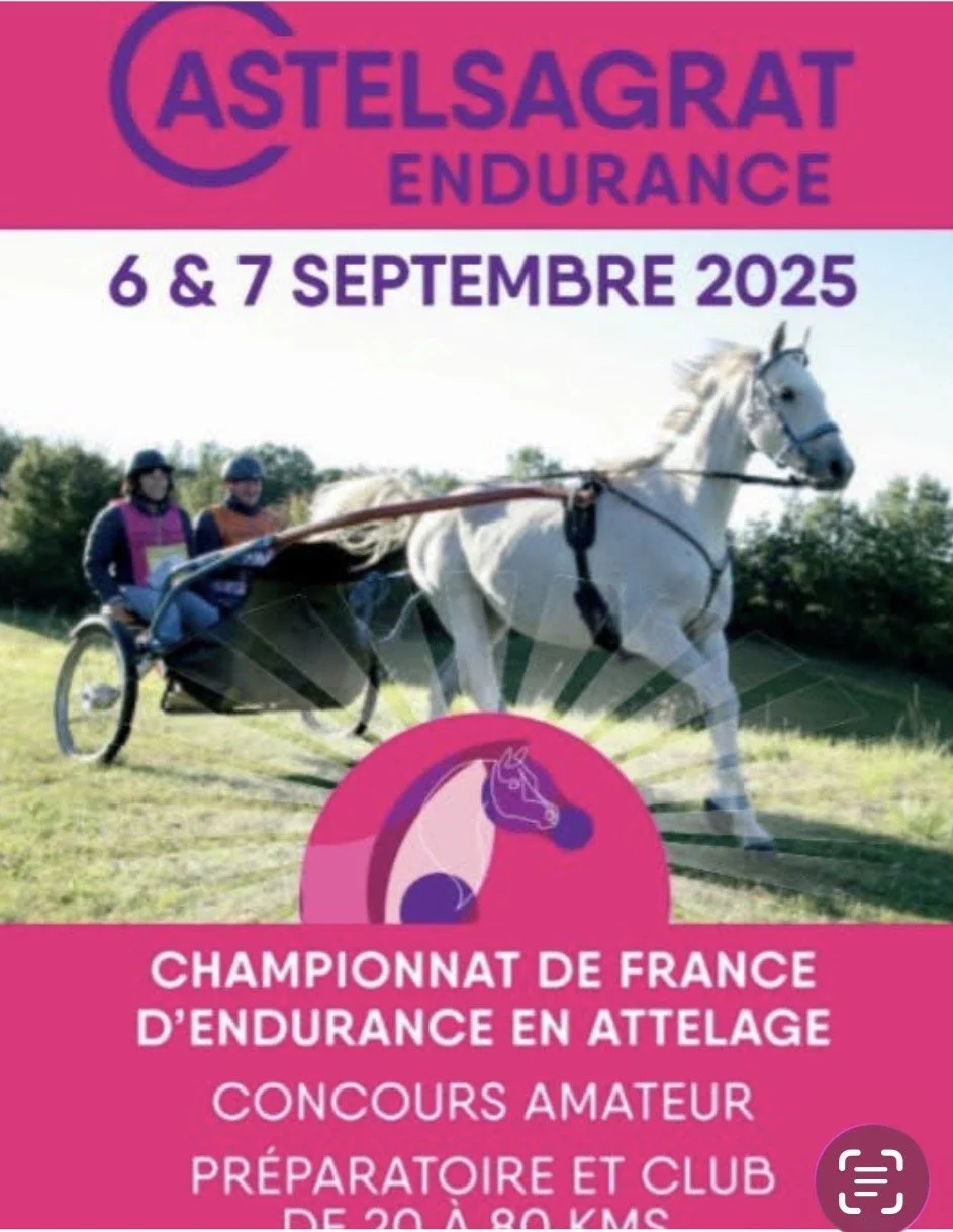 Championnat de France 2025 d’endurance attelé