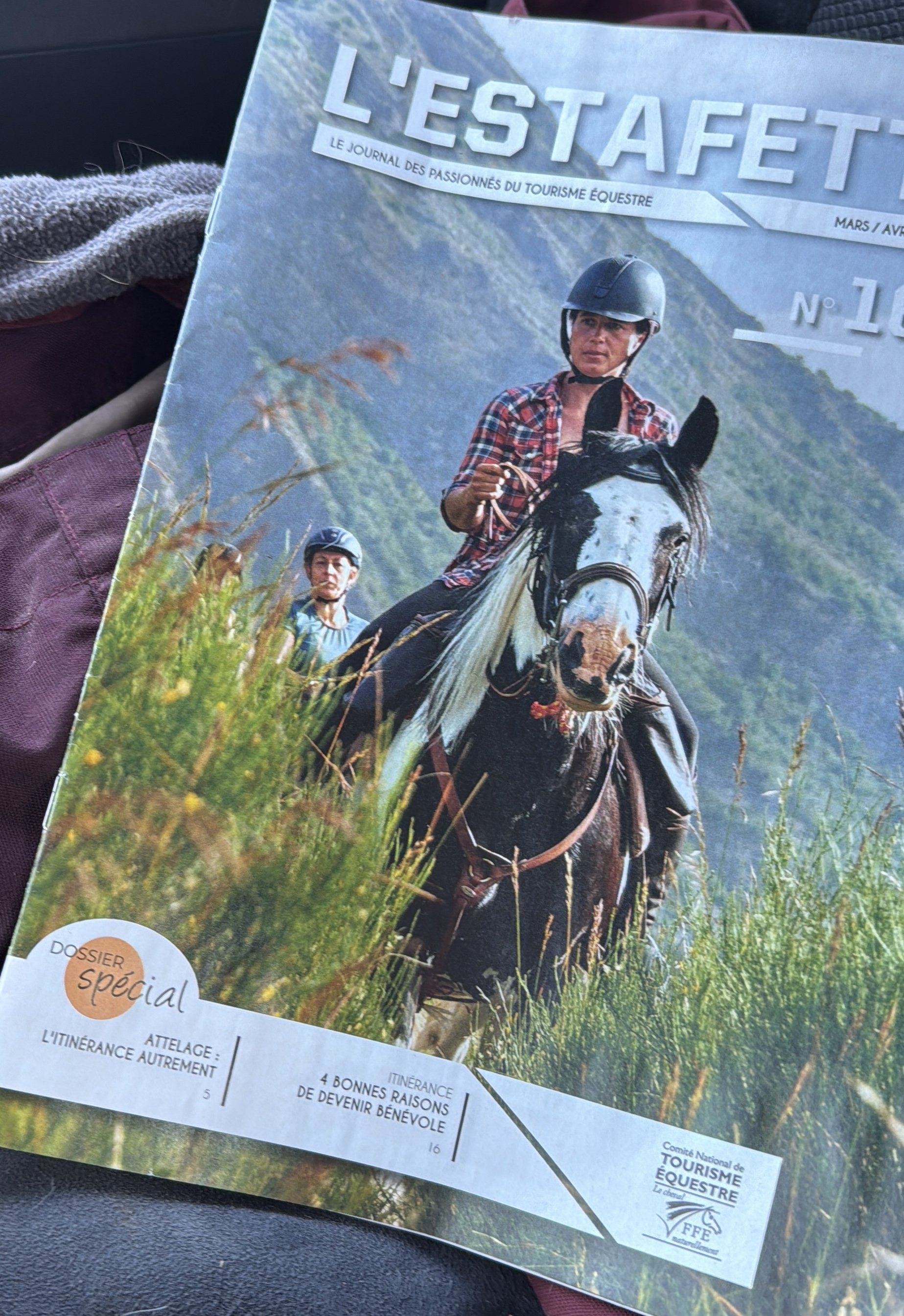 Estafette (FFE) - l’article “intégral” Equirando