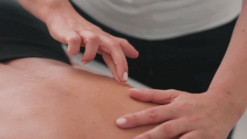 Marta Gonçalves Fisioterapia