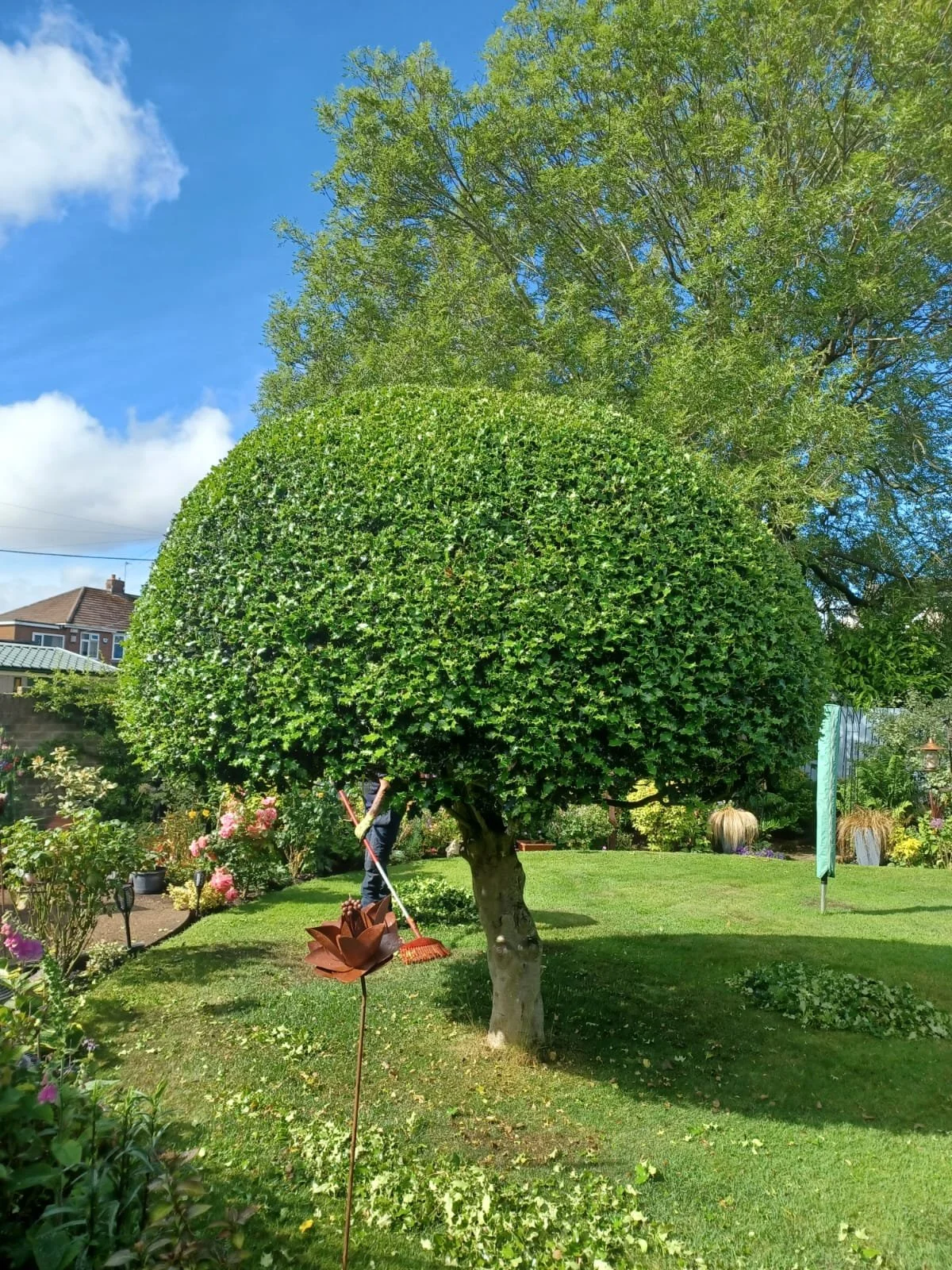 Tree Pruning Rowlands Gill