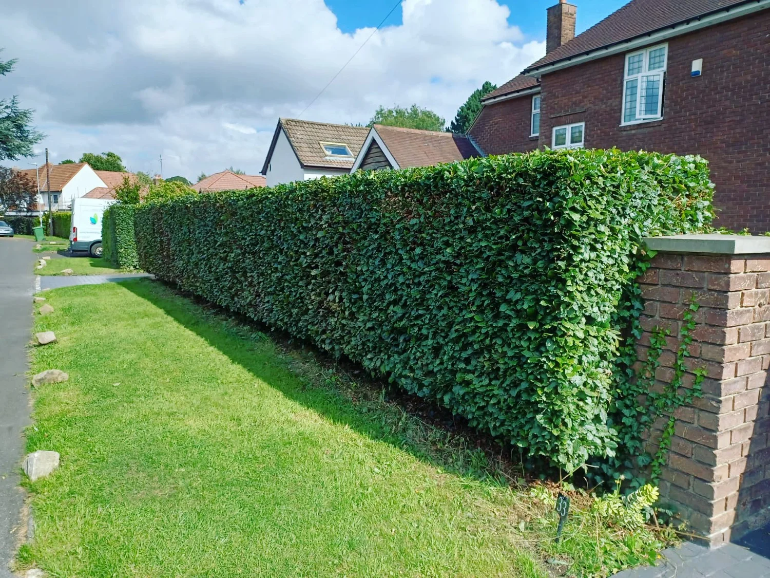 Hedge and tree work in Gateshead
