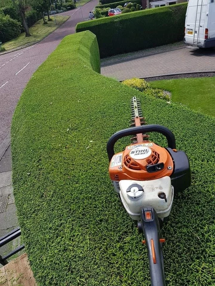DS Landscape Gardening project — completed garden
