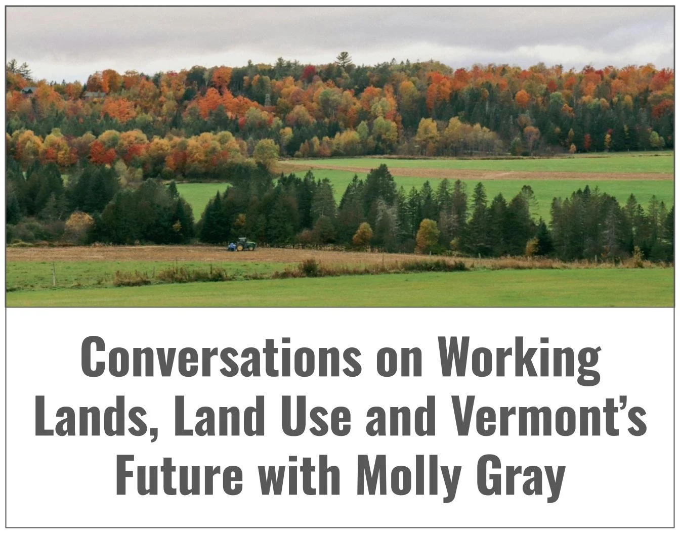 Molly Gray at Wildstone Farm