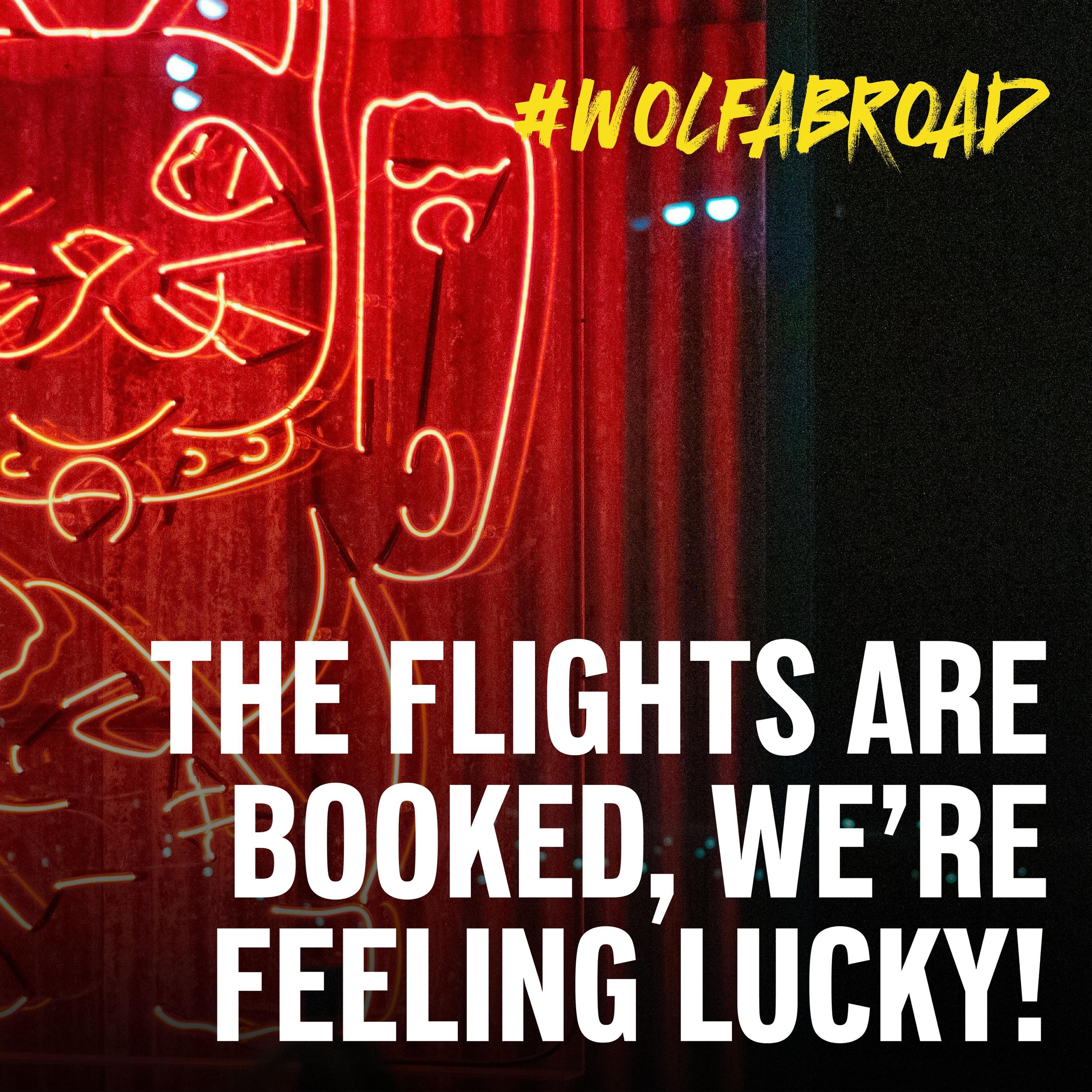 The neon lights are calling us! #Wolfabroad #Wolfinthewild #Outoftheden