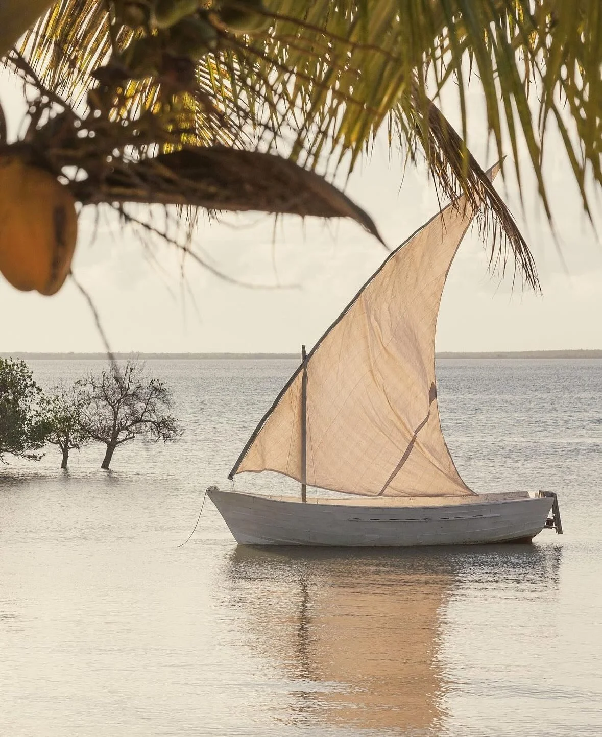 Dreaming of an exquisite retreat? We&rsquo;re exploring breathtaking destinations, with Sussurro in Mozambique capturing our hearts. Imagine unwinding in this serene oasis with a circle of extraordinary women.

Where do you envision finding tranquili
