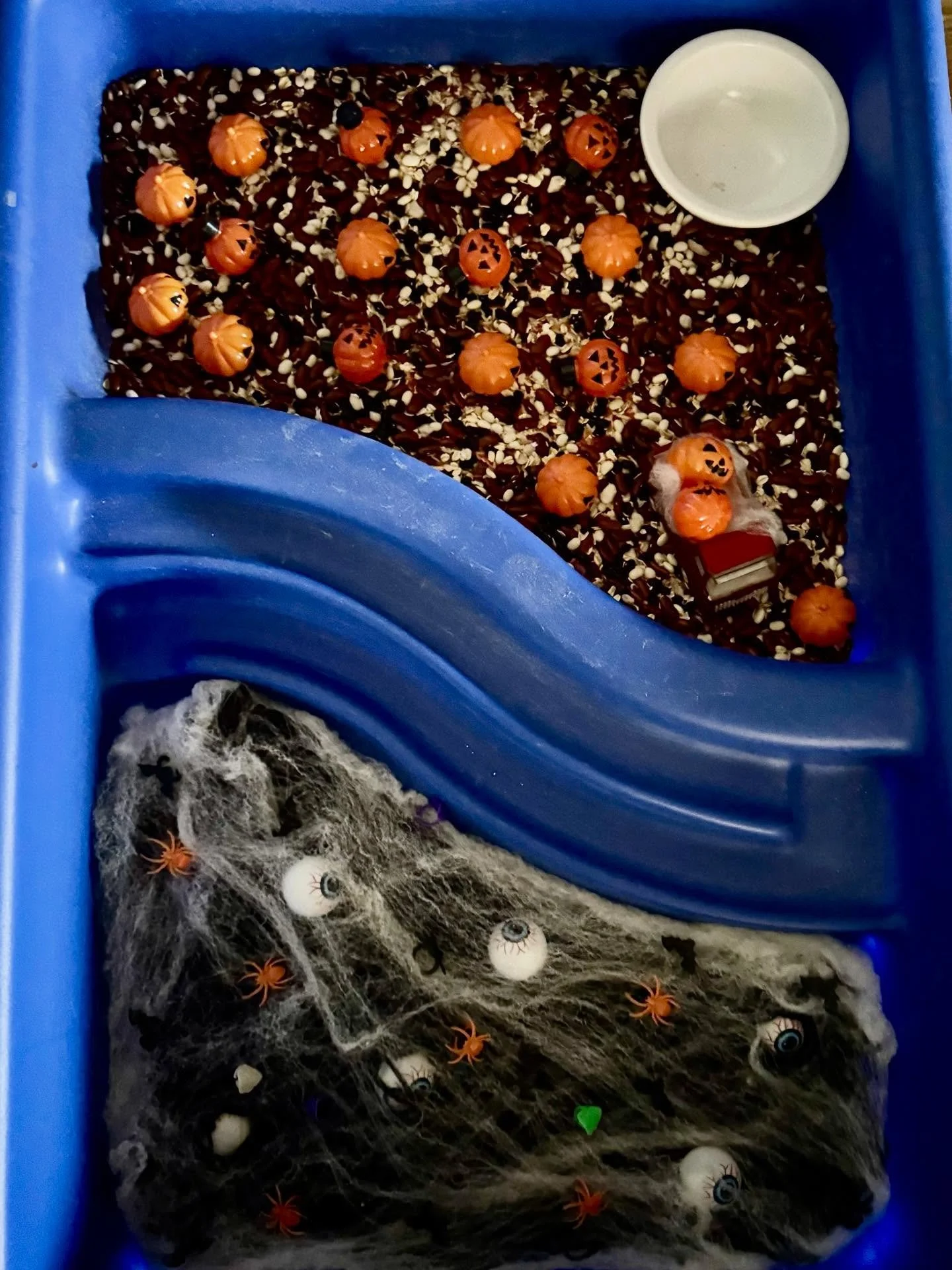 We will have our sensory items out today! Open 9:30-1:00pm on Thursdays!