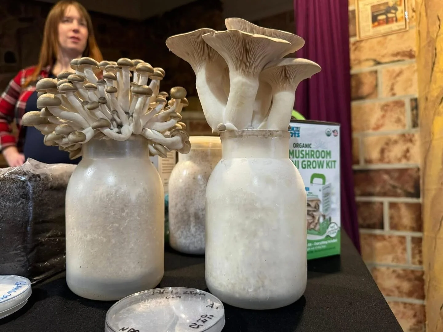 Let&rsquo;s welcome back Mycopia Gourmet Mushrooms, Inc. They are planning to bring some mushrooms for display. You will learn about growing mushrooms and all the different types. It will be hands on and educational for all. They will be passing out 
