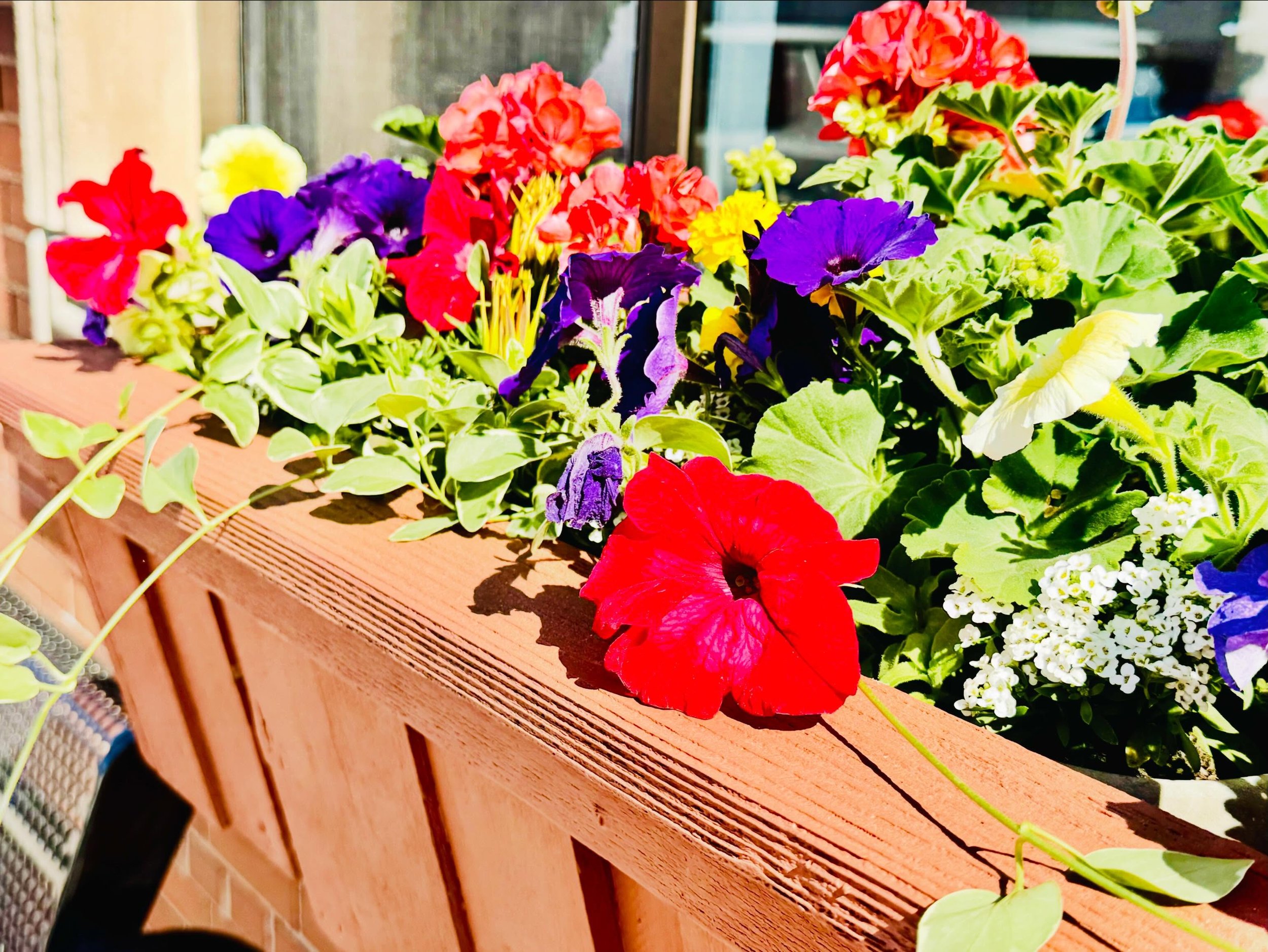 Thank you Bobbie Clingan! Flowers are donated by The Giving Tree Garden Center. (Located next door to downtown Wesco) Such beautiful flowers as usual 💐! It is starting to look like summer in the front of our building.