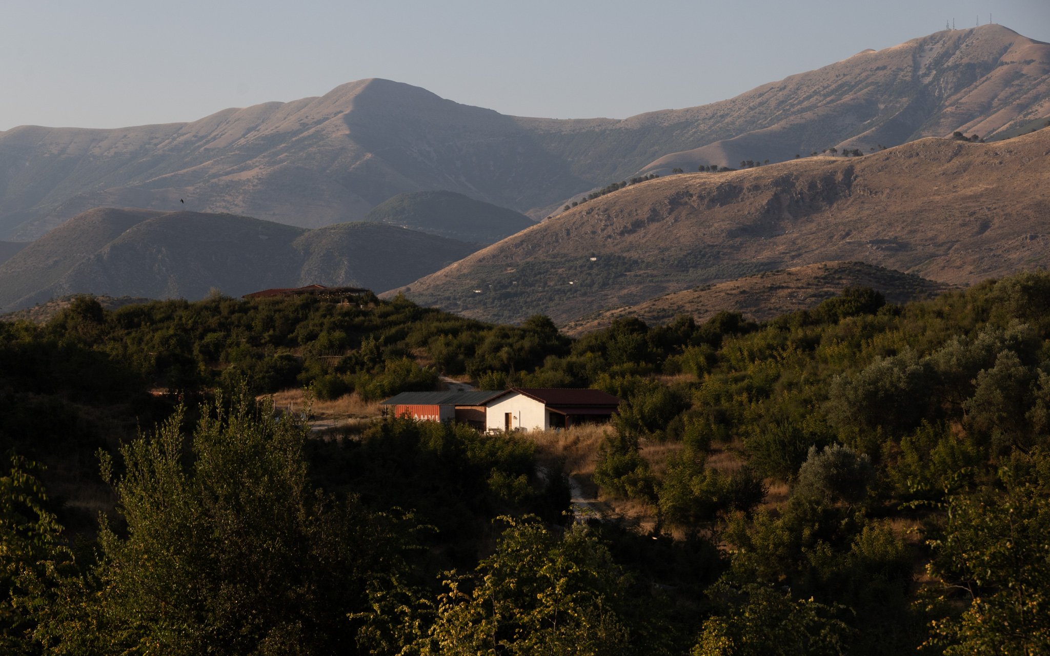 Botë Farms