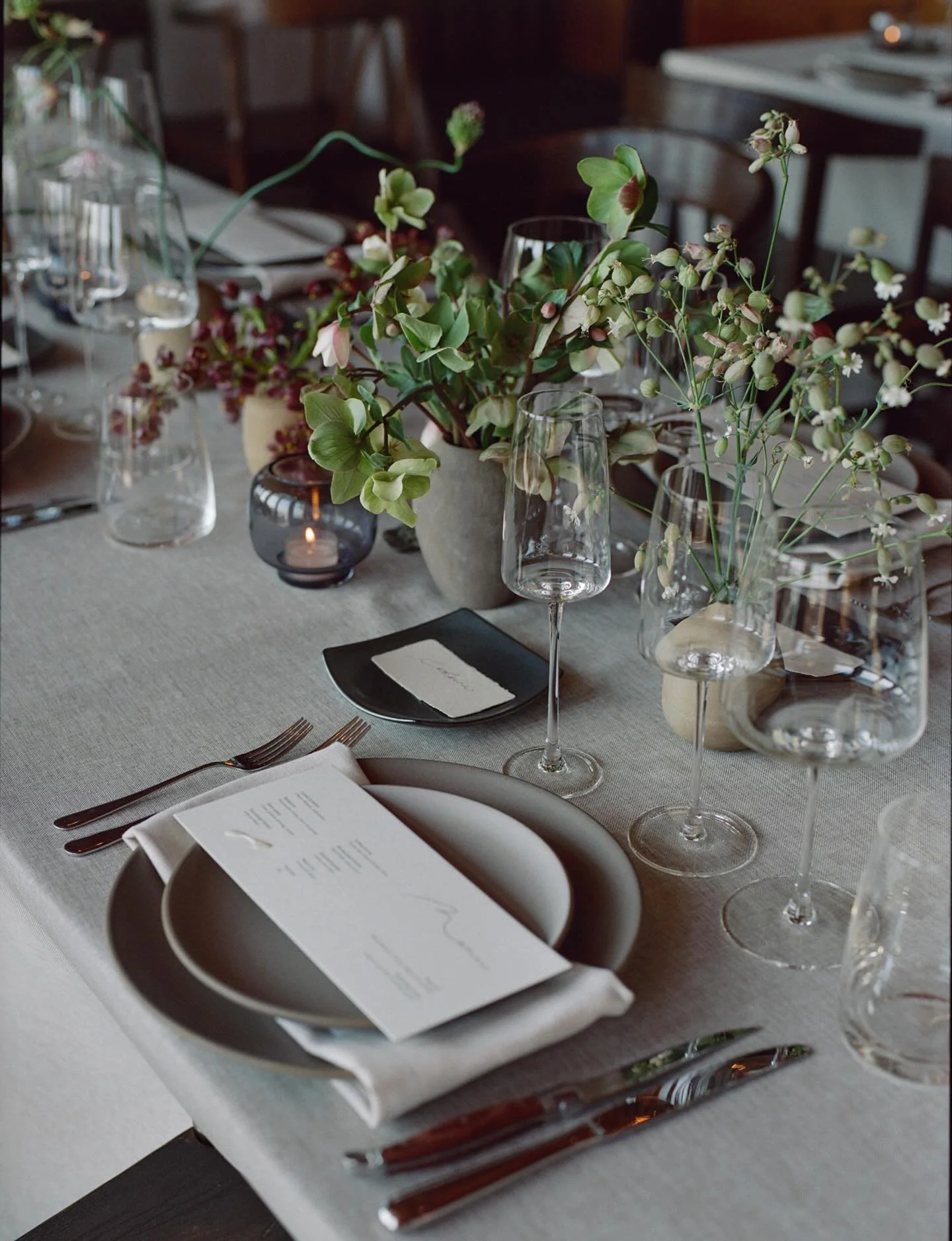 From our time on the magical Mendocino coast with O+J ✨