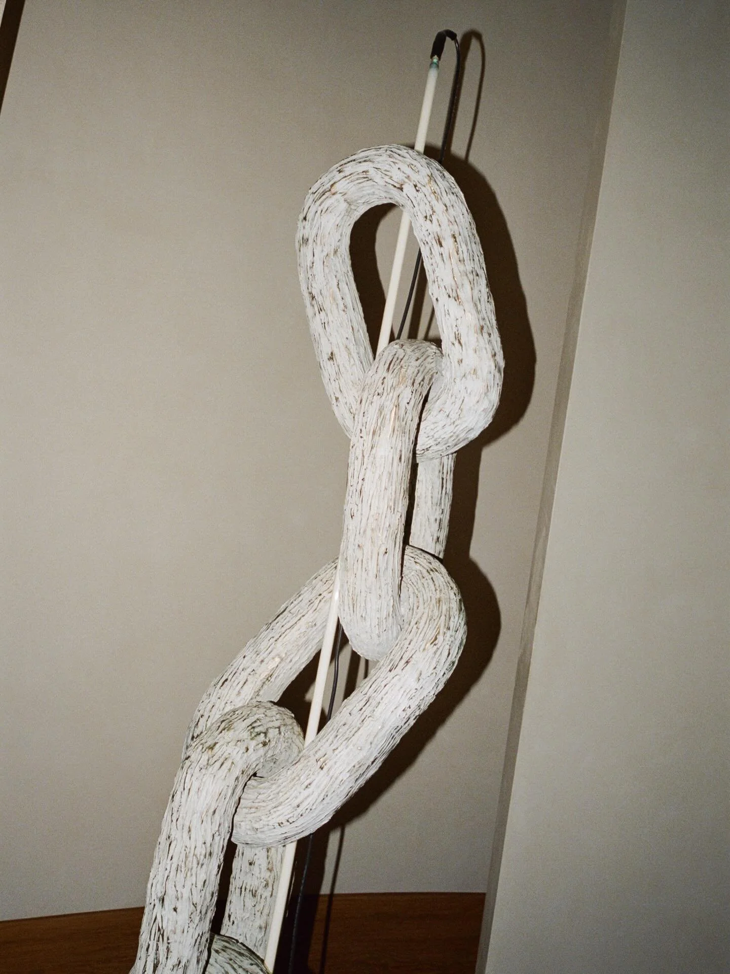 Nothing quite like a day at the @santamonicaproper